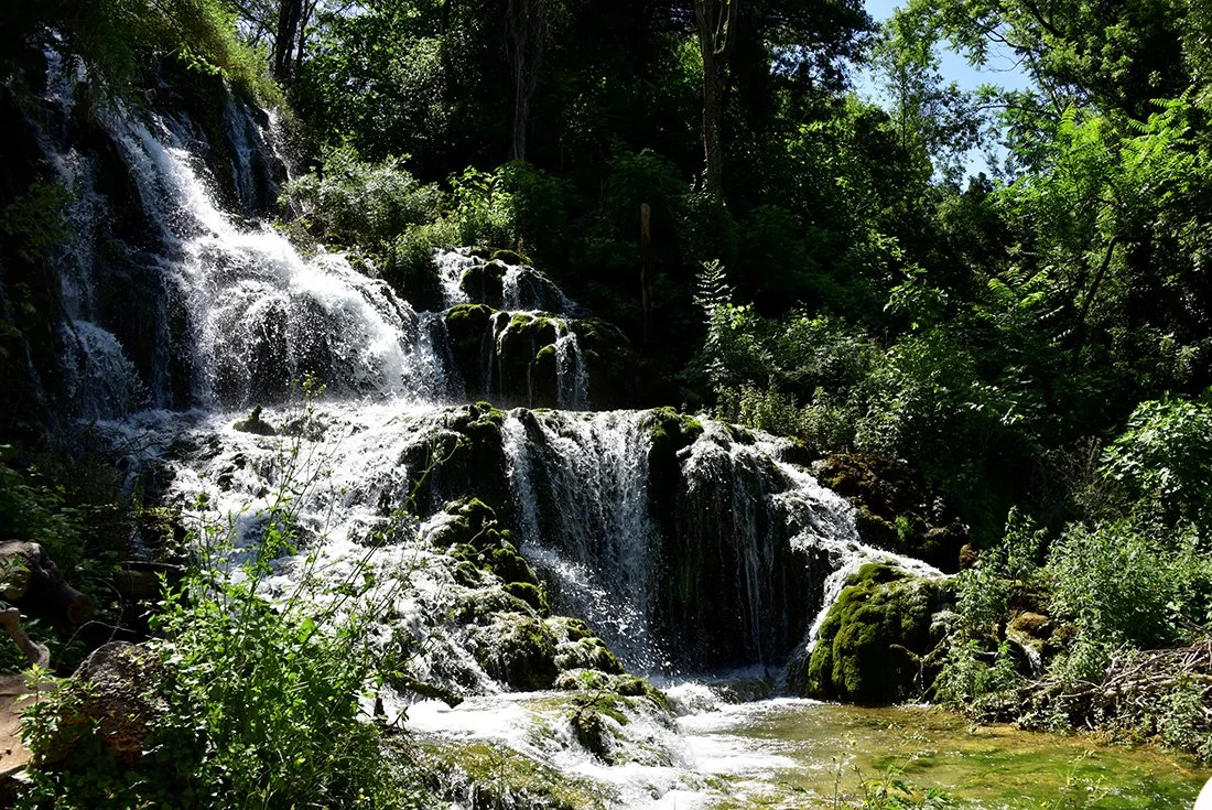 Bernard_DSC1146 (2).jpg