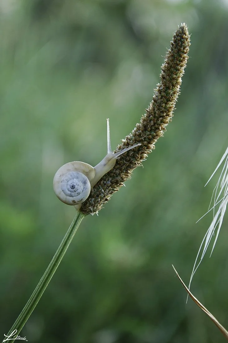 nicoleDSC_0207 (2).JPG.jpg