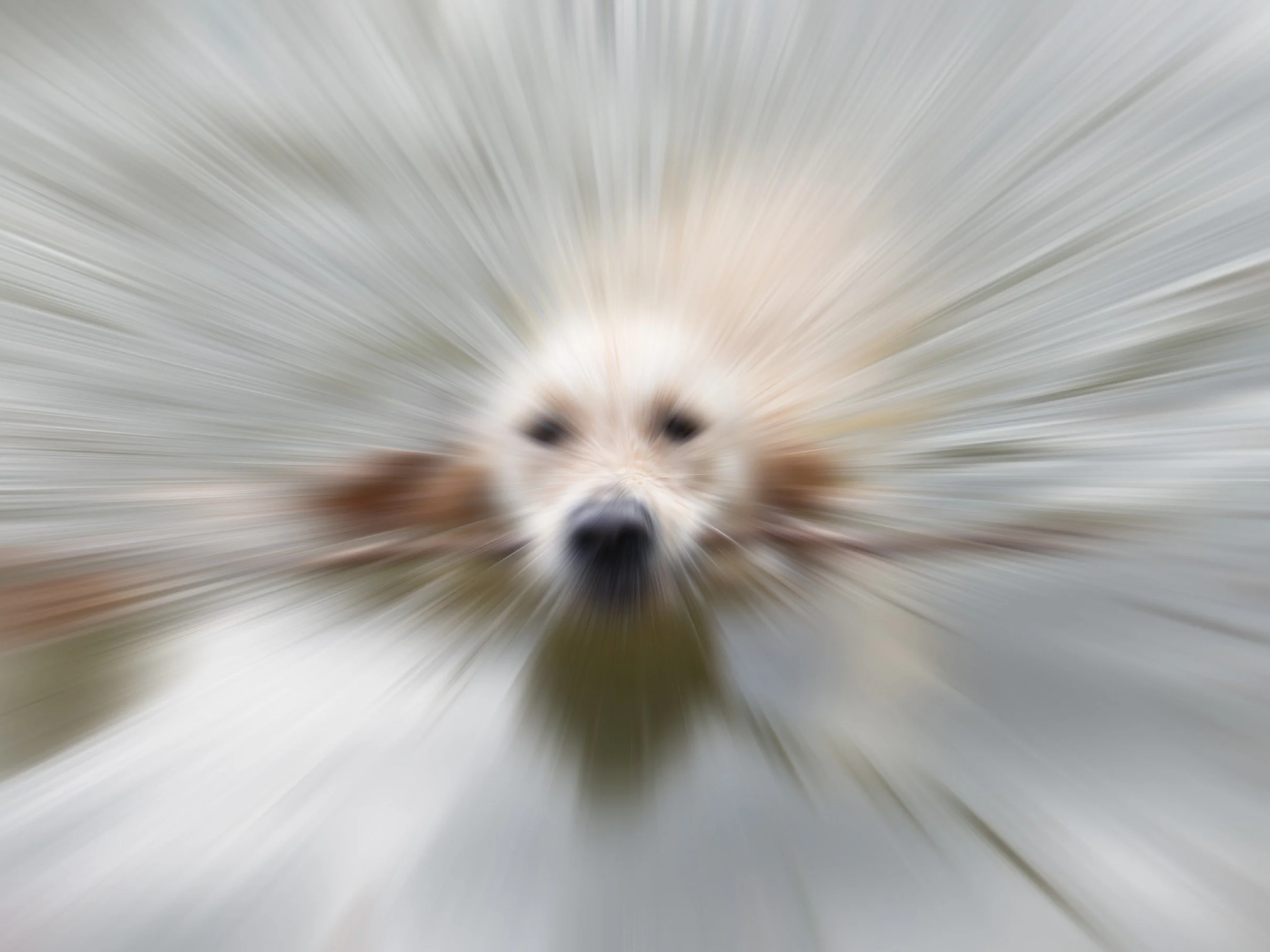 IMG_3973 copieb copie 2FINALE.jpg