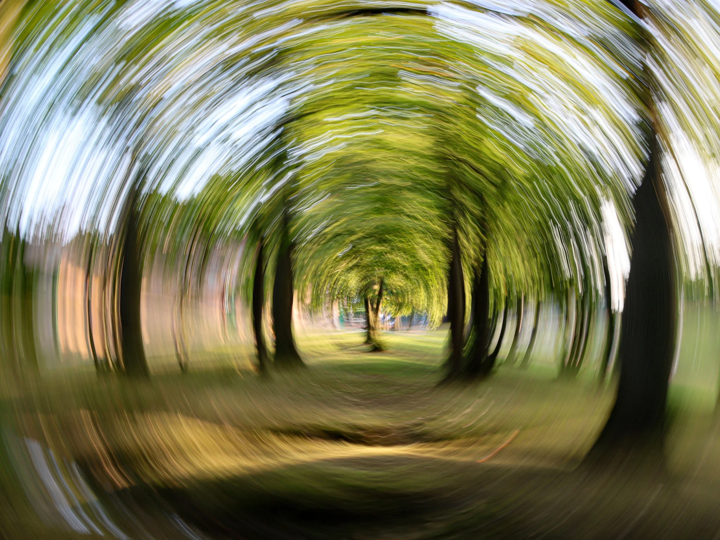 IMG_6854 copie-2 copieFINALE.jpg