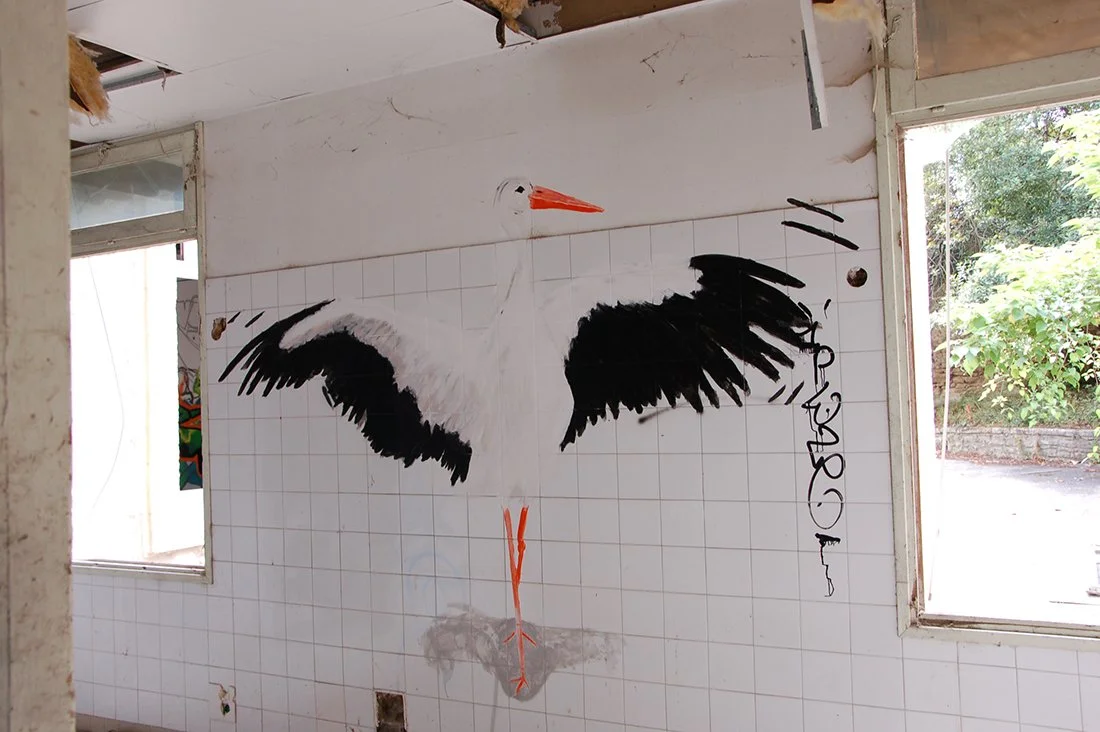 nicoleDSC_0219 (2).JPG.jpg