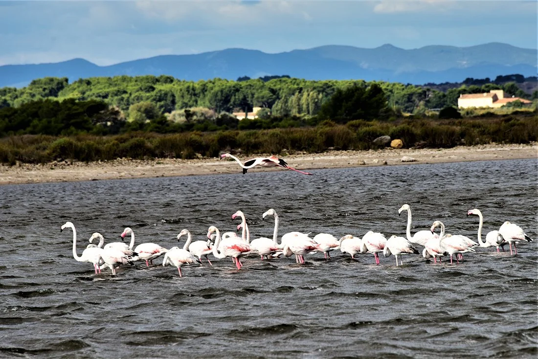 Bernard_DSC2435 (2).jpg