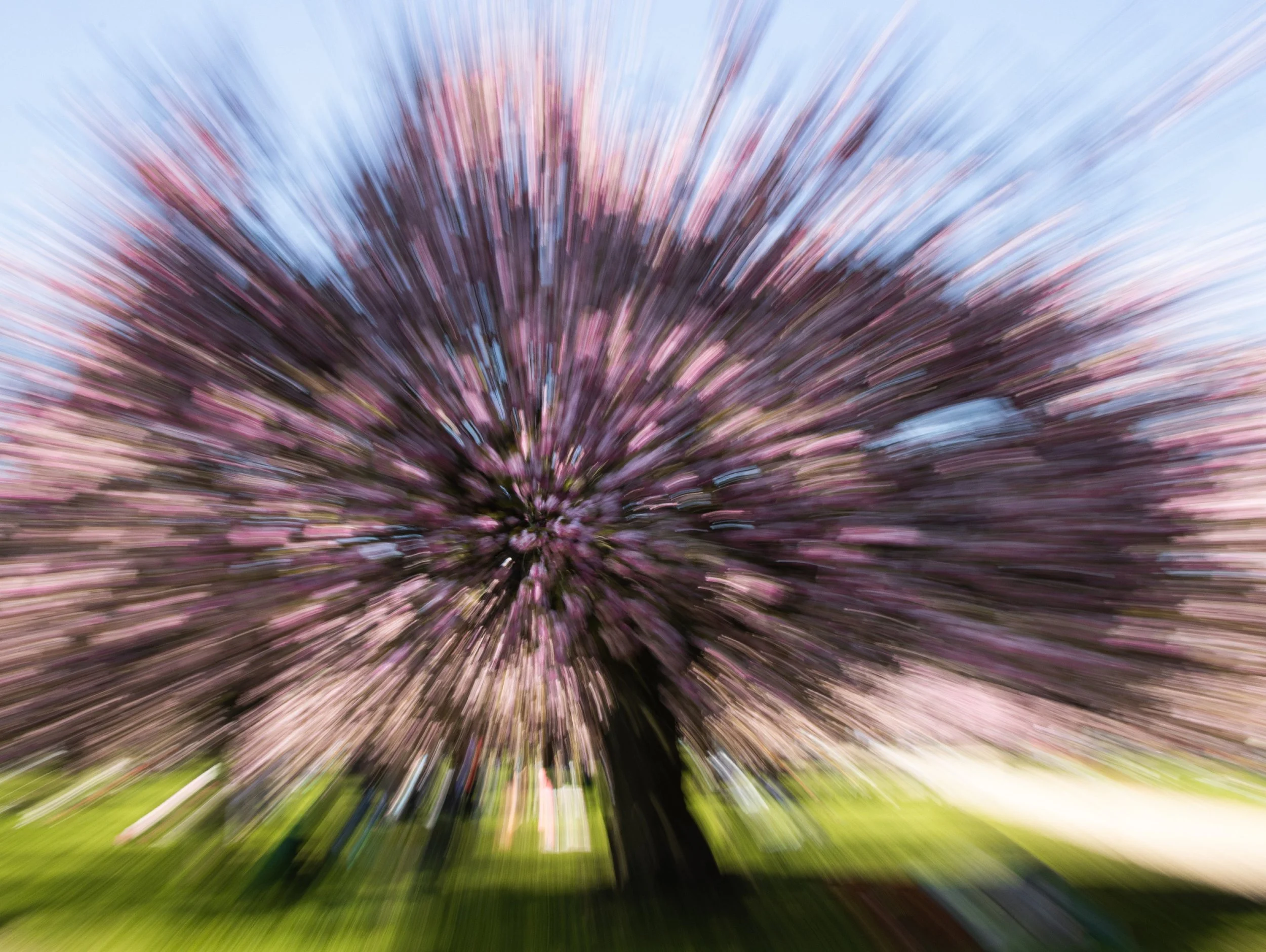 IMG_5663 copieFINALE.jpg