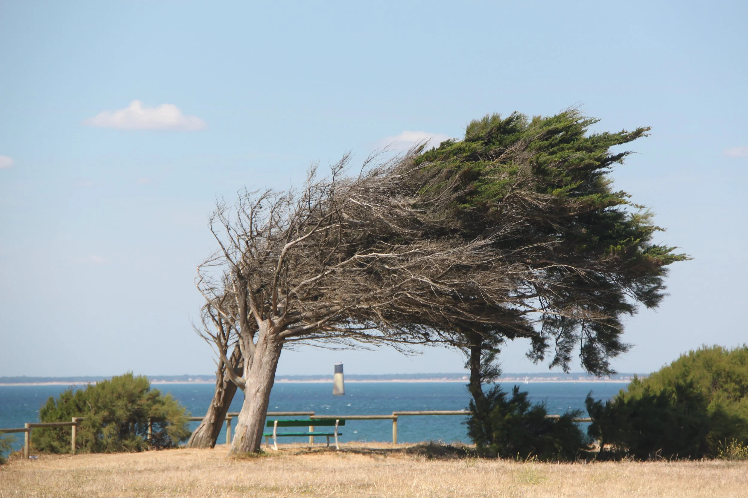 ROYAN 07.2011 420.jpg