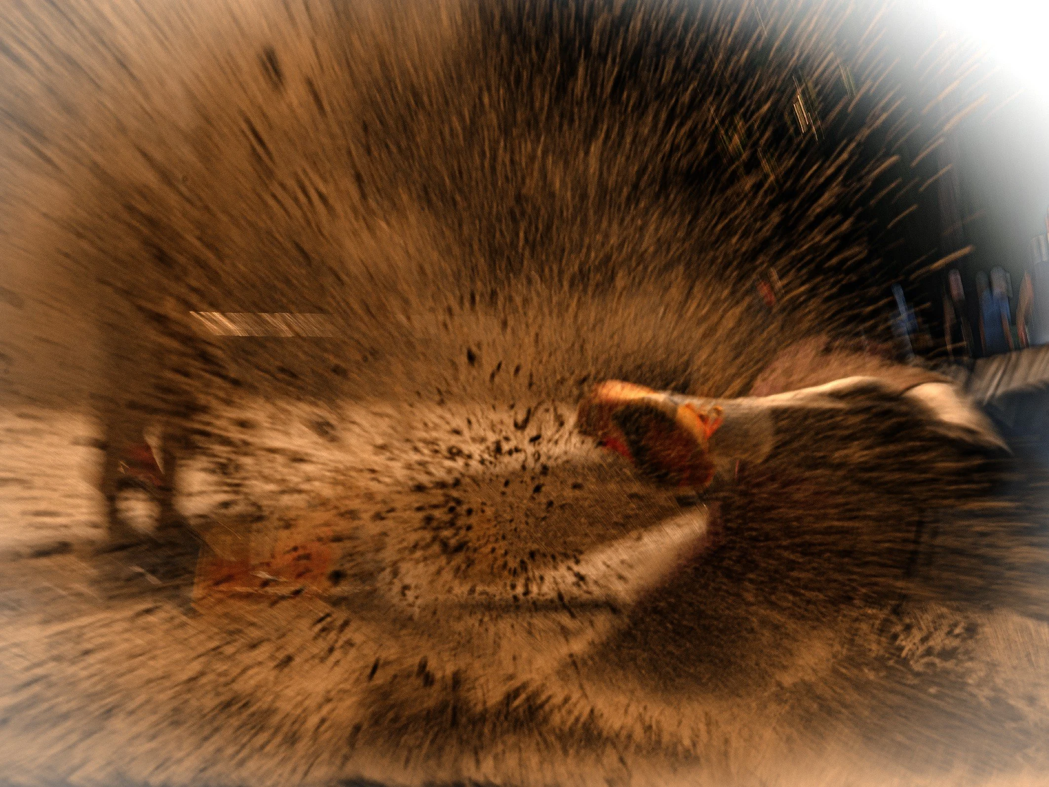 03 saut en longueur.jpg