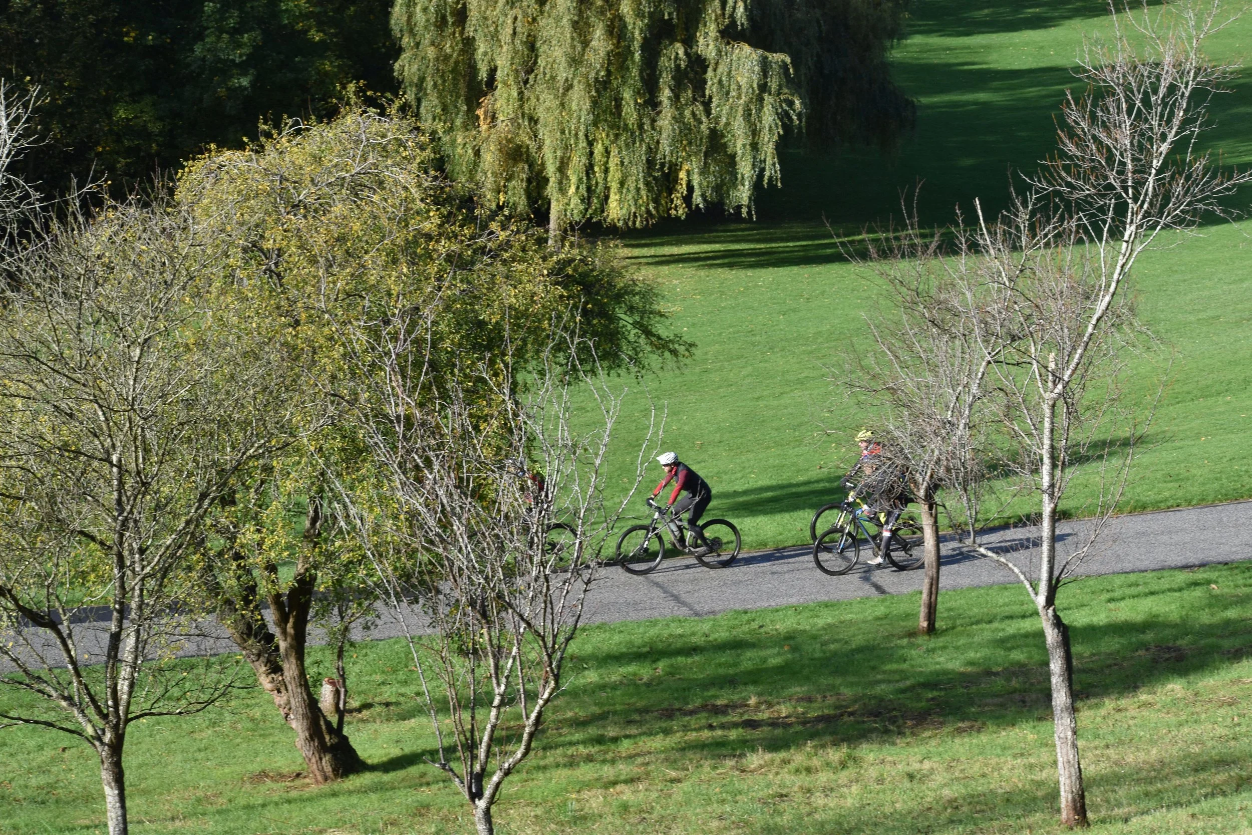 DSC_0271.jpg