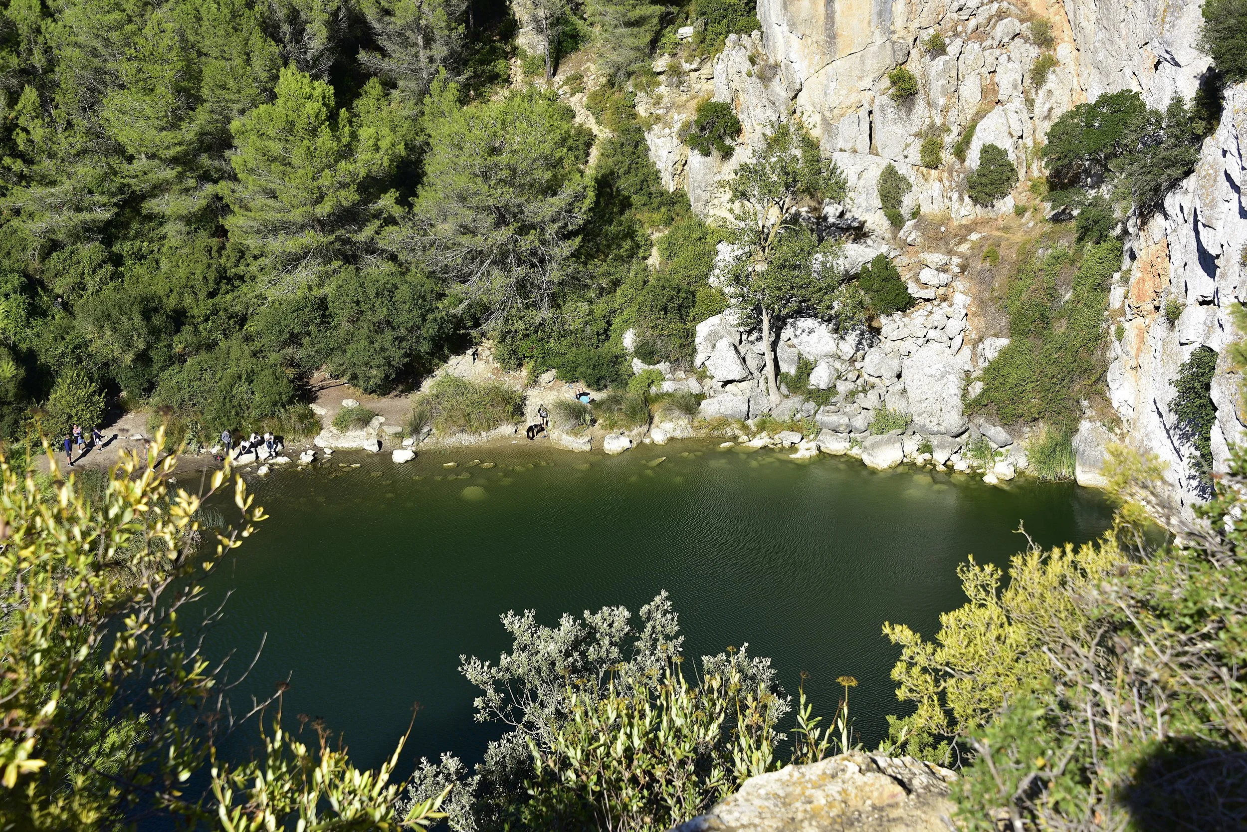 _DSC2078.JPG