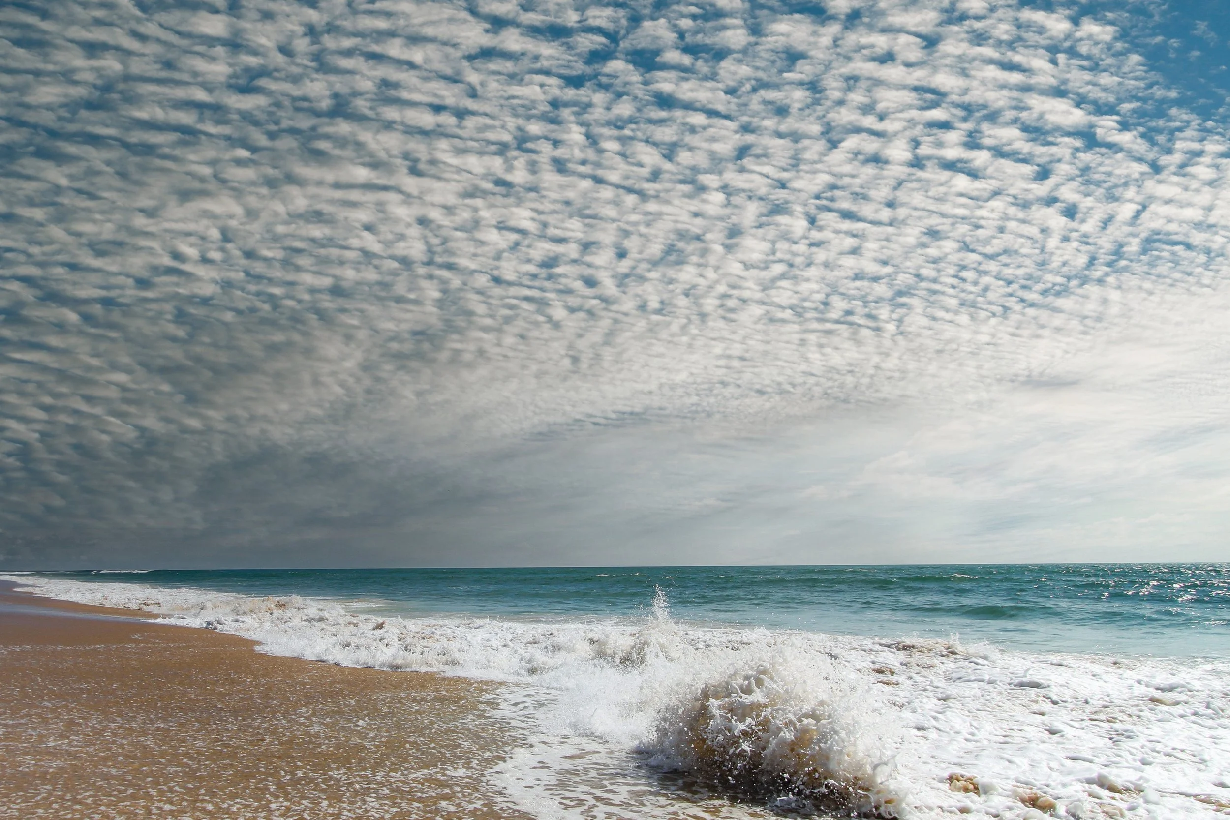 Plage de Vendée.jpg