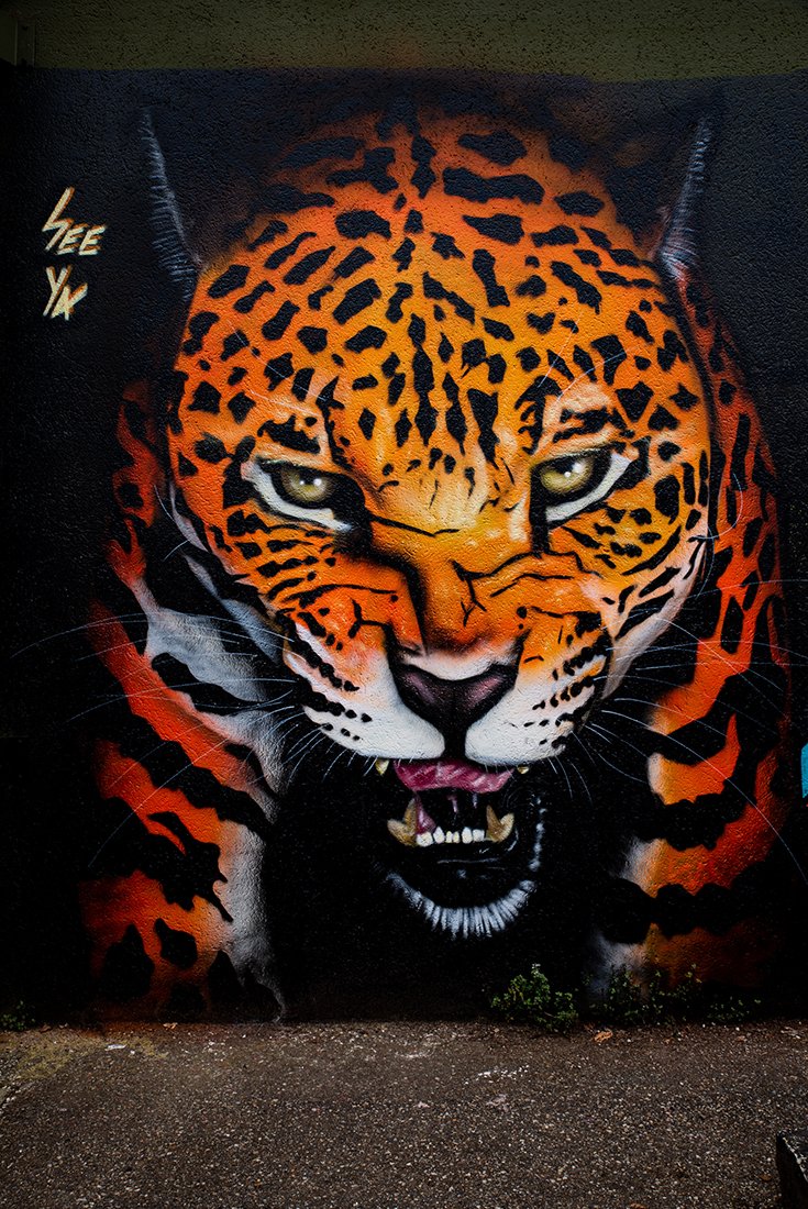 michelstreet art_5.jpg