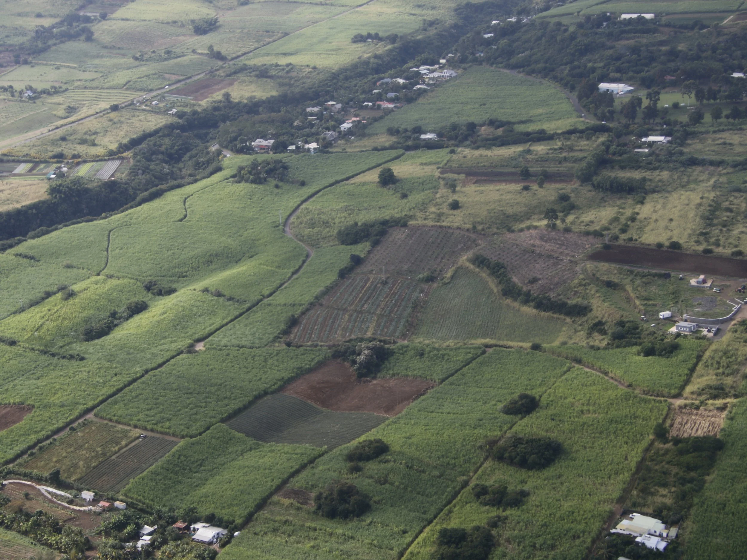 _MG_3426.jpg