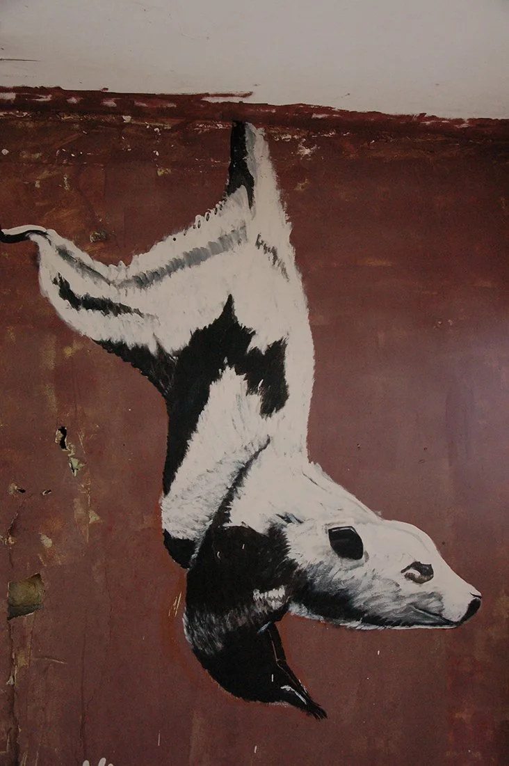 nicoleDSC_0220 (2).JPG.jpg