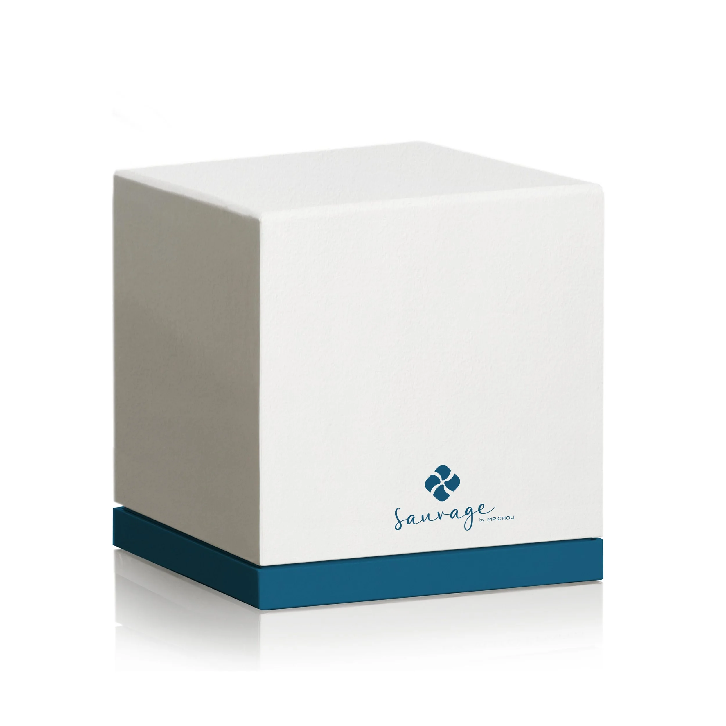 White box with blue base and logo, with the text 'Sauvage' and 'by Mr Chou' written on it.
