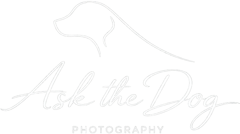 Ask the Dog Photography