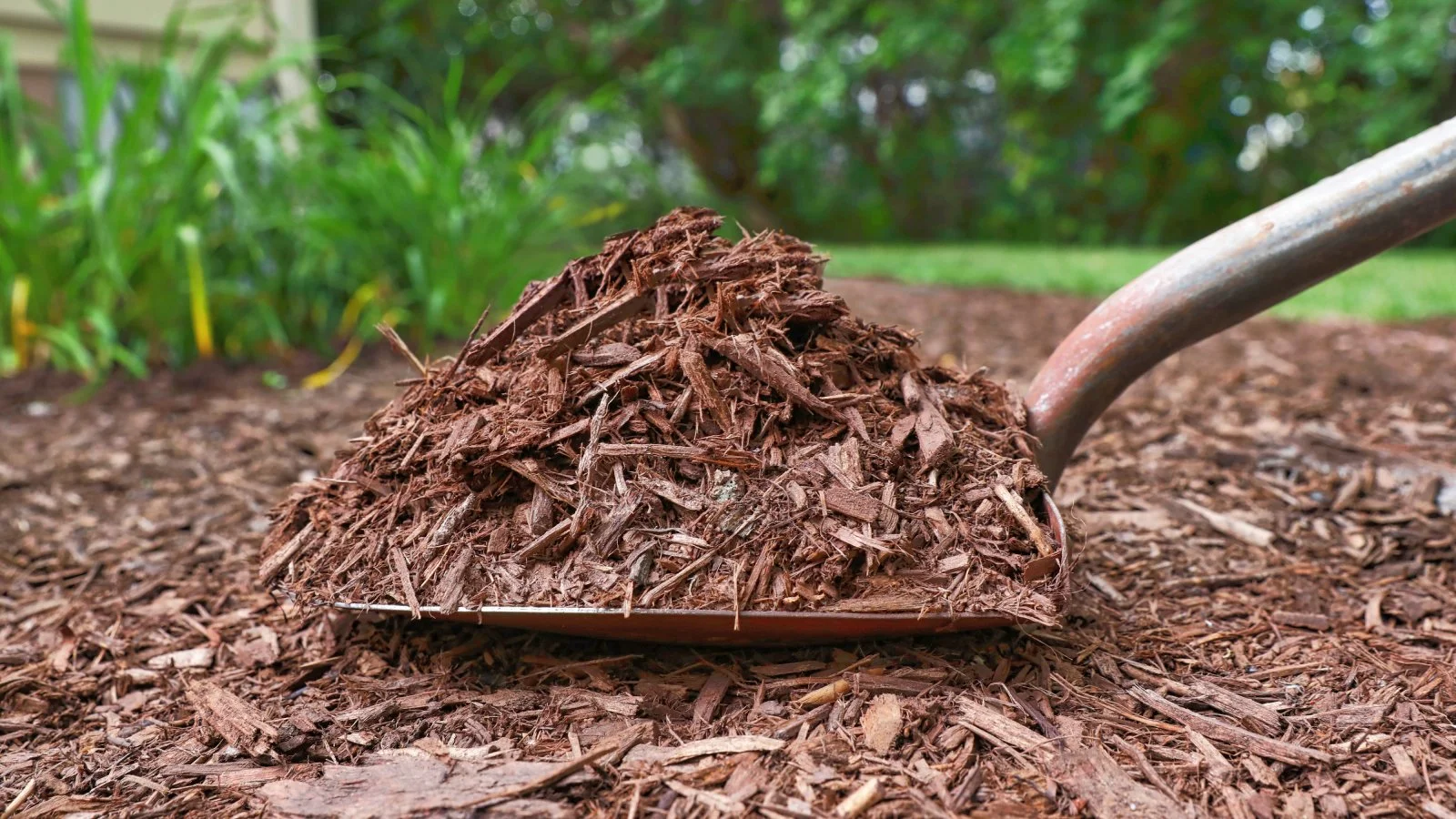 Mulching