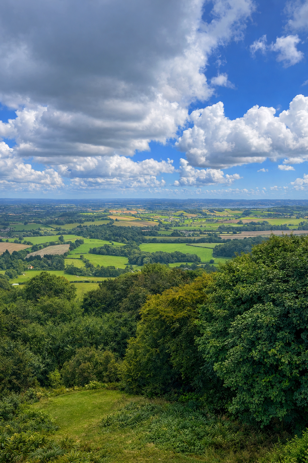 Rolling fields and distant villages.png