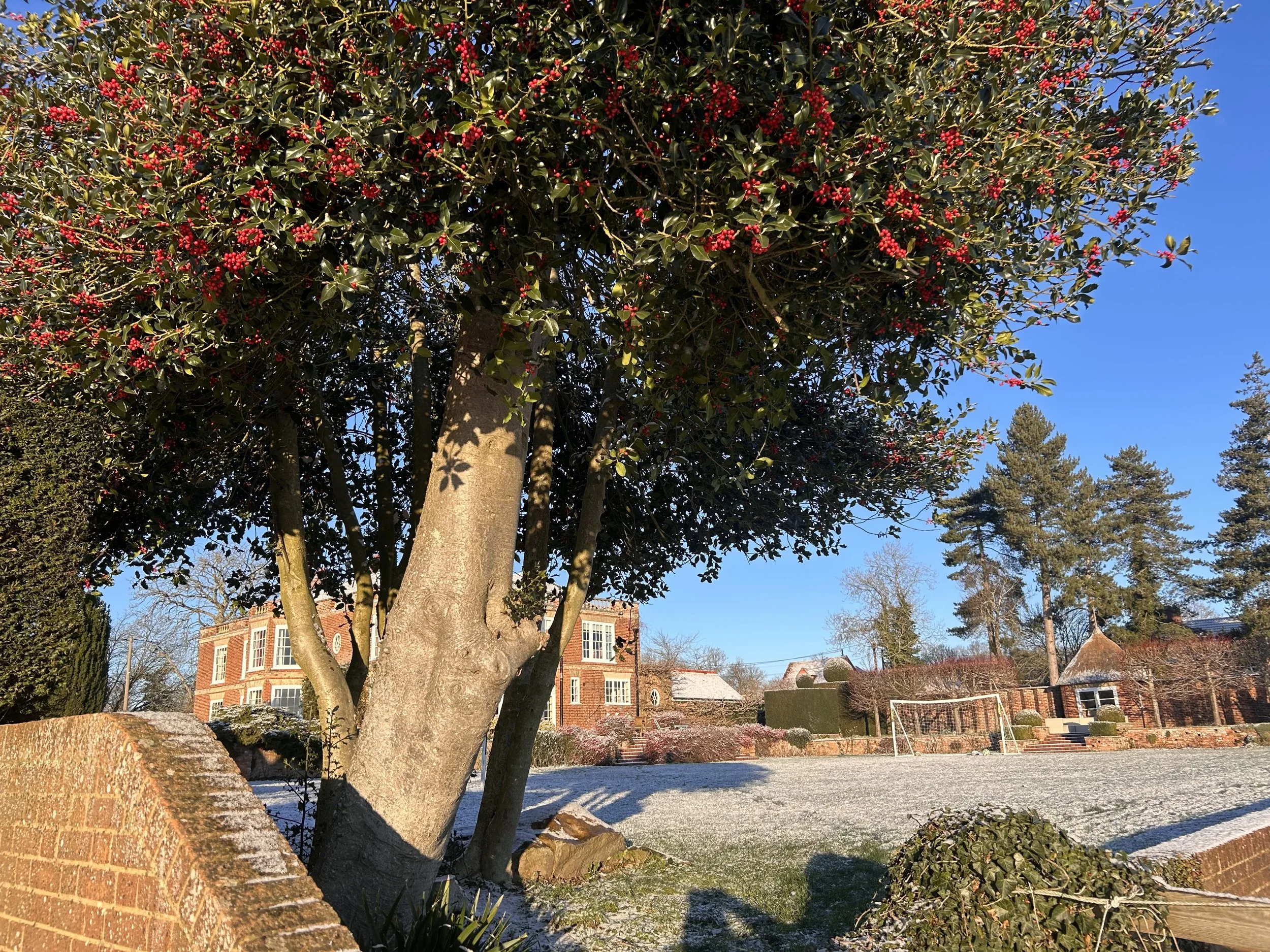 Fysh Backyard Court.jpeg