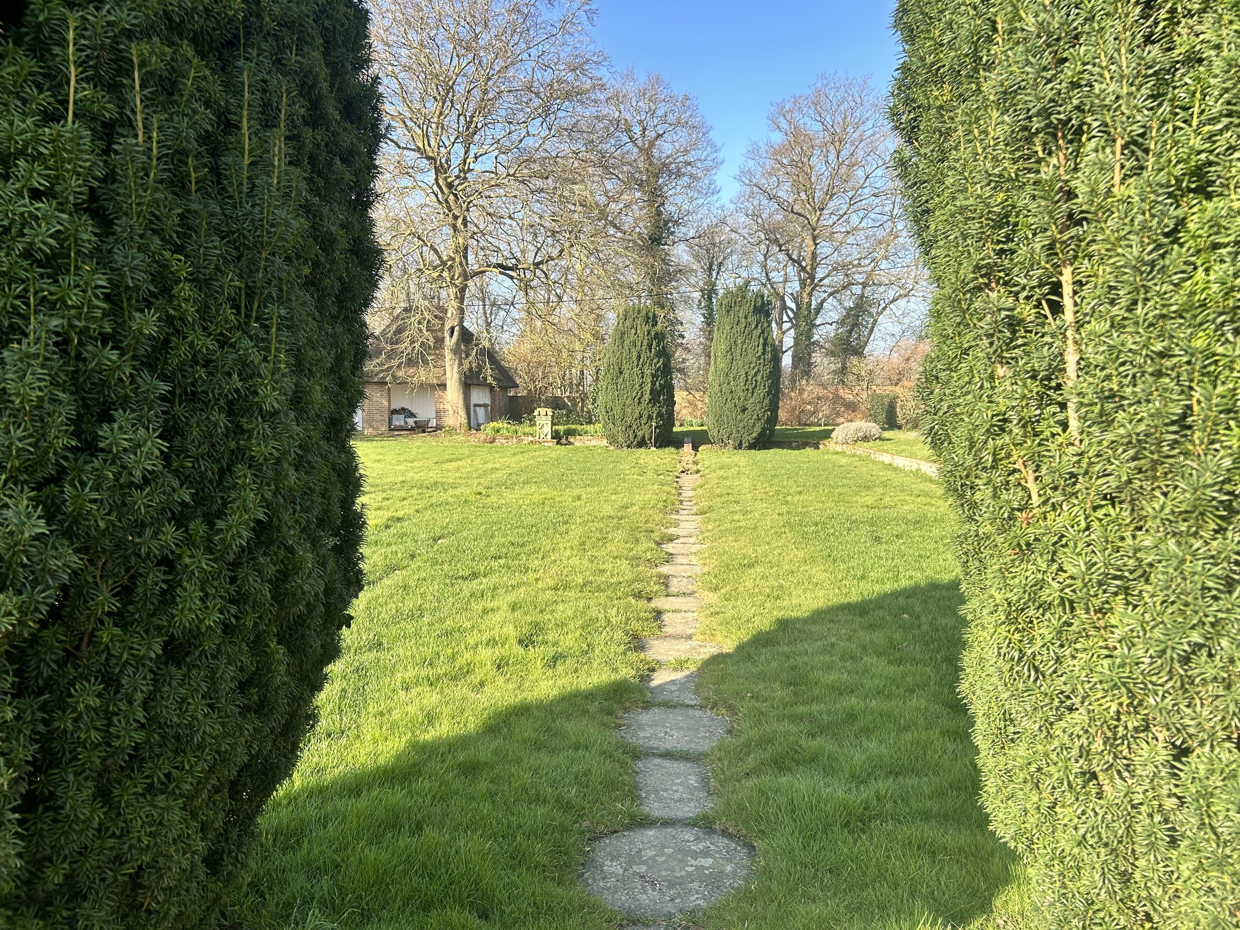 Fysh-Shrub pathway.jpg