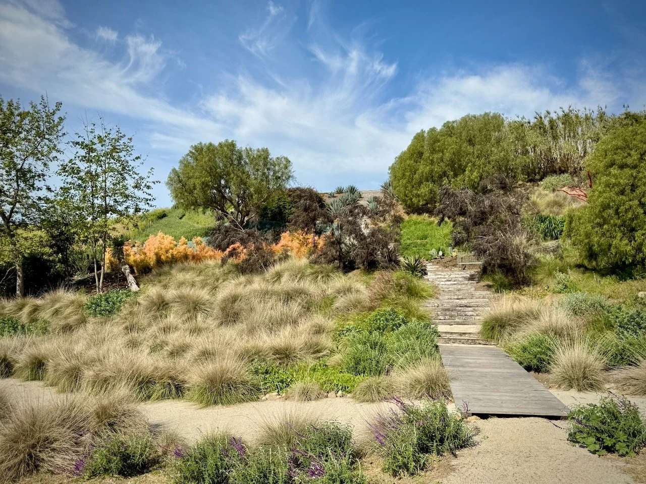 MMG - All Seasons - 2025-2026 - 124.jpeg