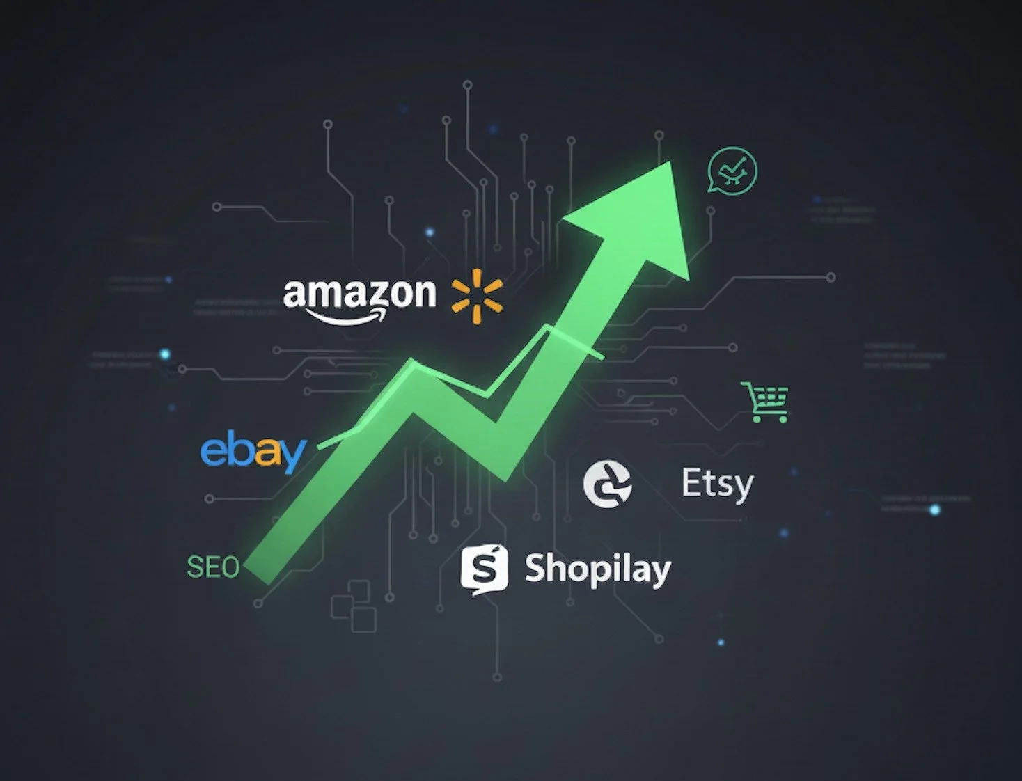 E-commerce Growth & Marketplace Scaling