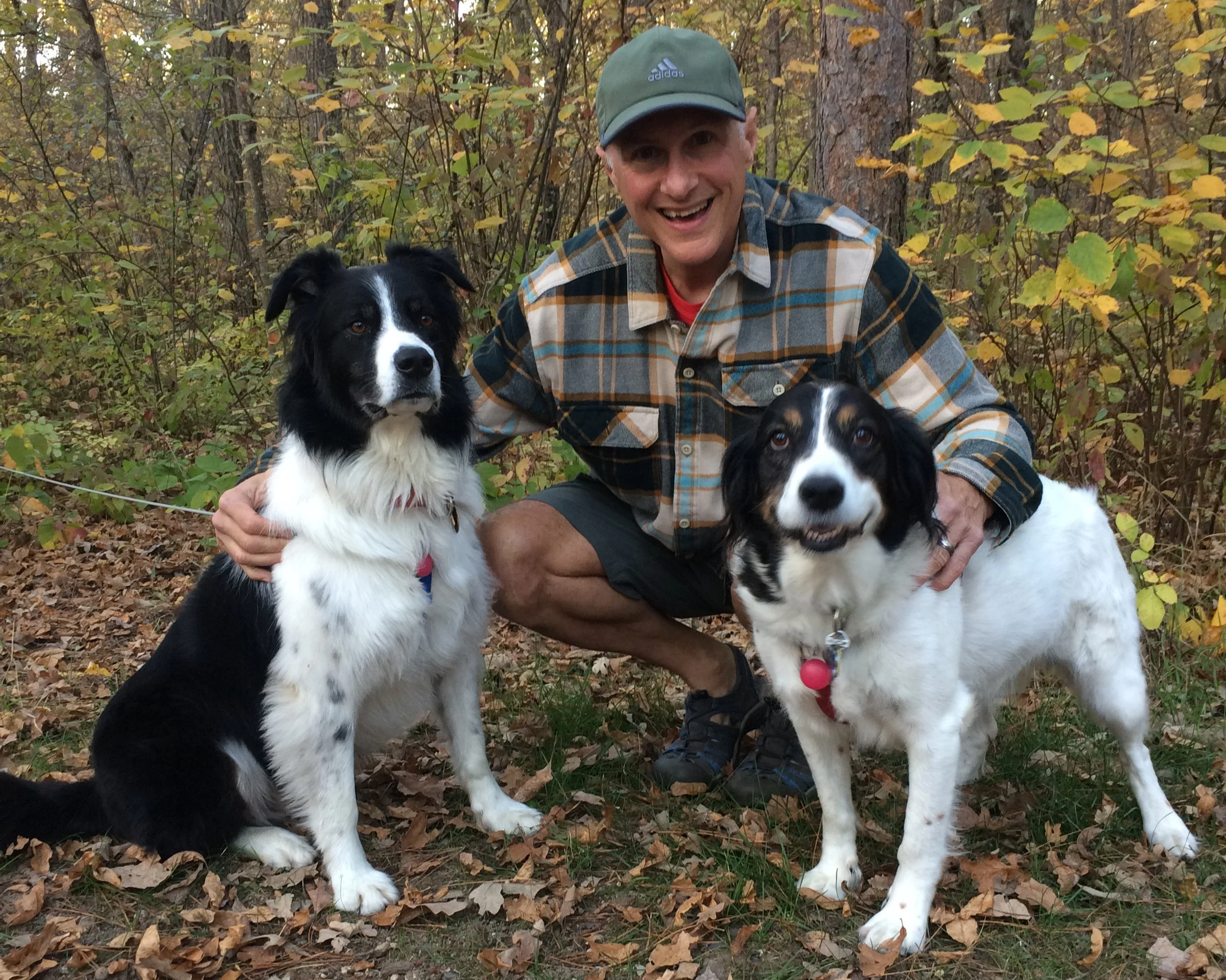 Dr. Dave Jackson in a plaid shirt and shorts kneels in a wooded area, smiling with two border collie dogs, one black and white (Fromm) and the other black, brown, and white (Molly), amidst fallen leaves and green foliage.