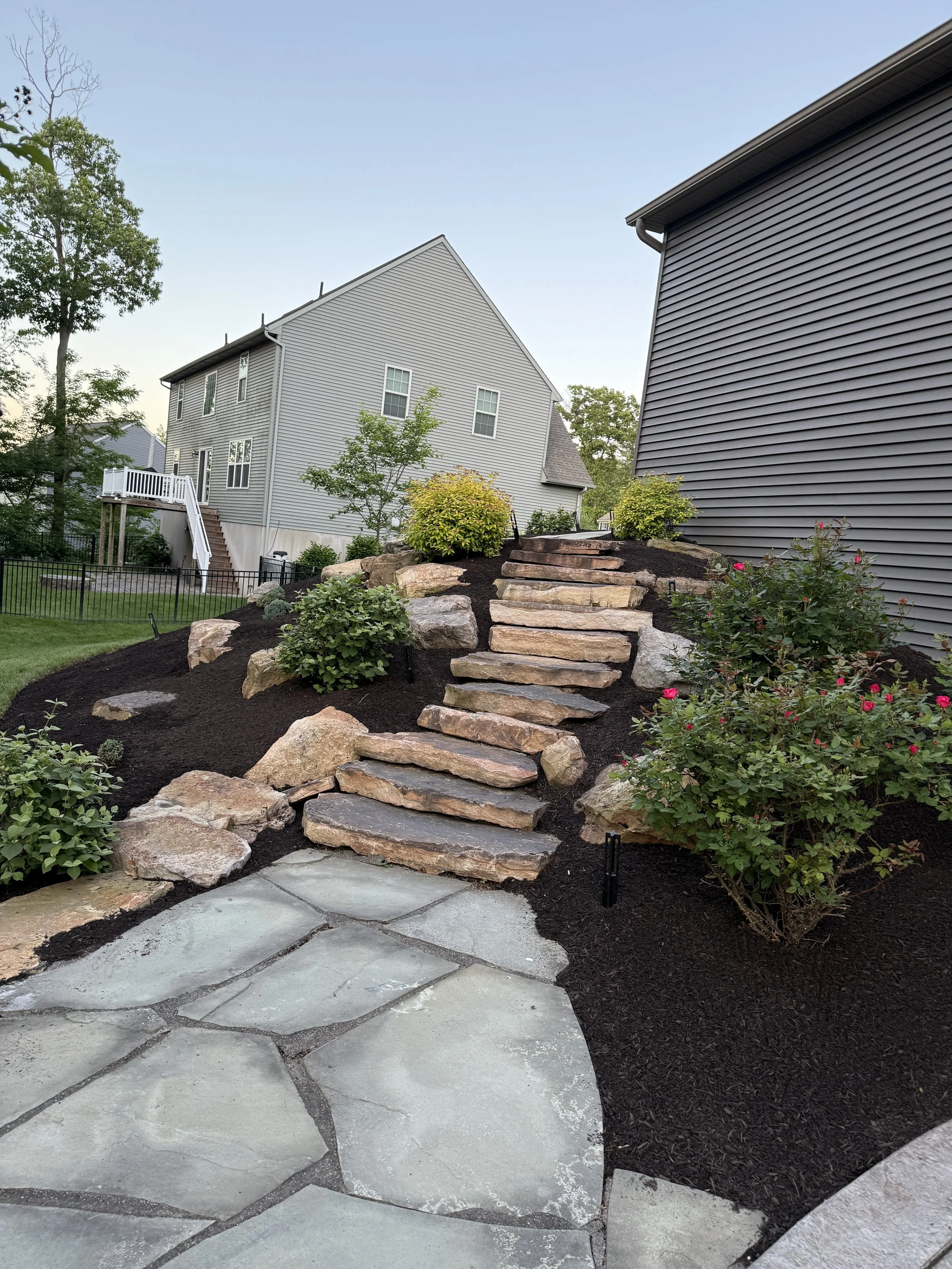 Backyard with stone steps leading up a landscaped hill, surrounded by bushes and mulch, with houses and a fence in the background.
