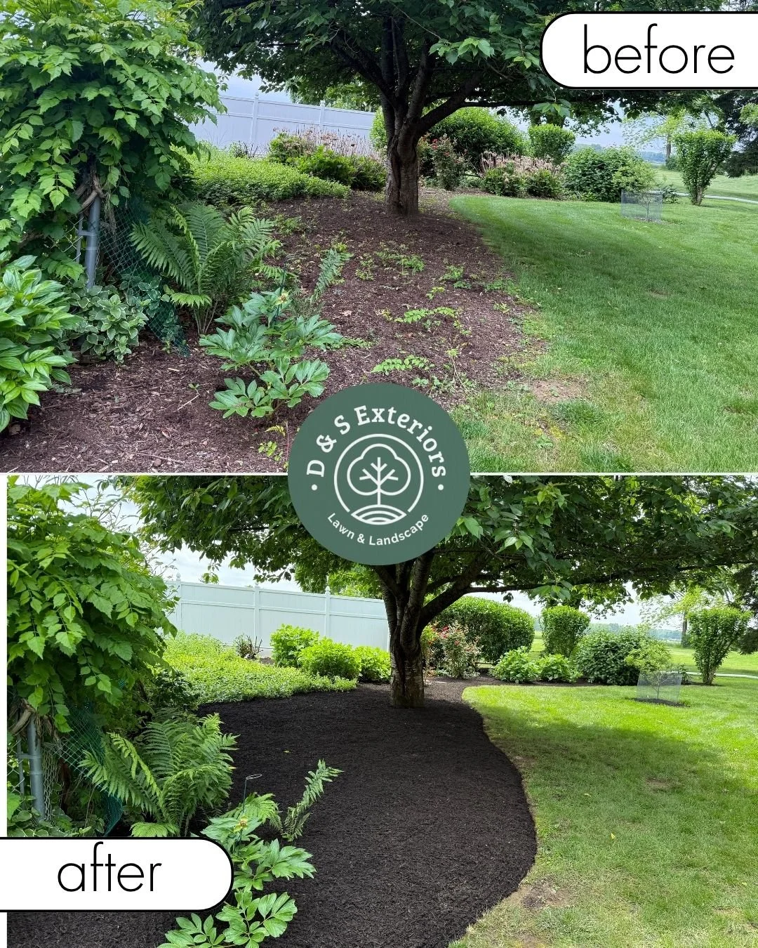 Comparison of a landscaped yard before and after mulch installation; the 'before' image shows exposed soil around a tree and bushes, while the 'after' image shows new dark mulch spreading over the soil.