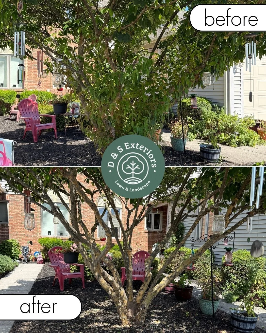 A before-and-after comparison of a backyard with a large tree. The 'before' shows the tree with dense green foliage, while the 'after' shows the tree's branches pruned. Both images show pink chairs, potted plants, and garden decorations, with a brick