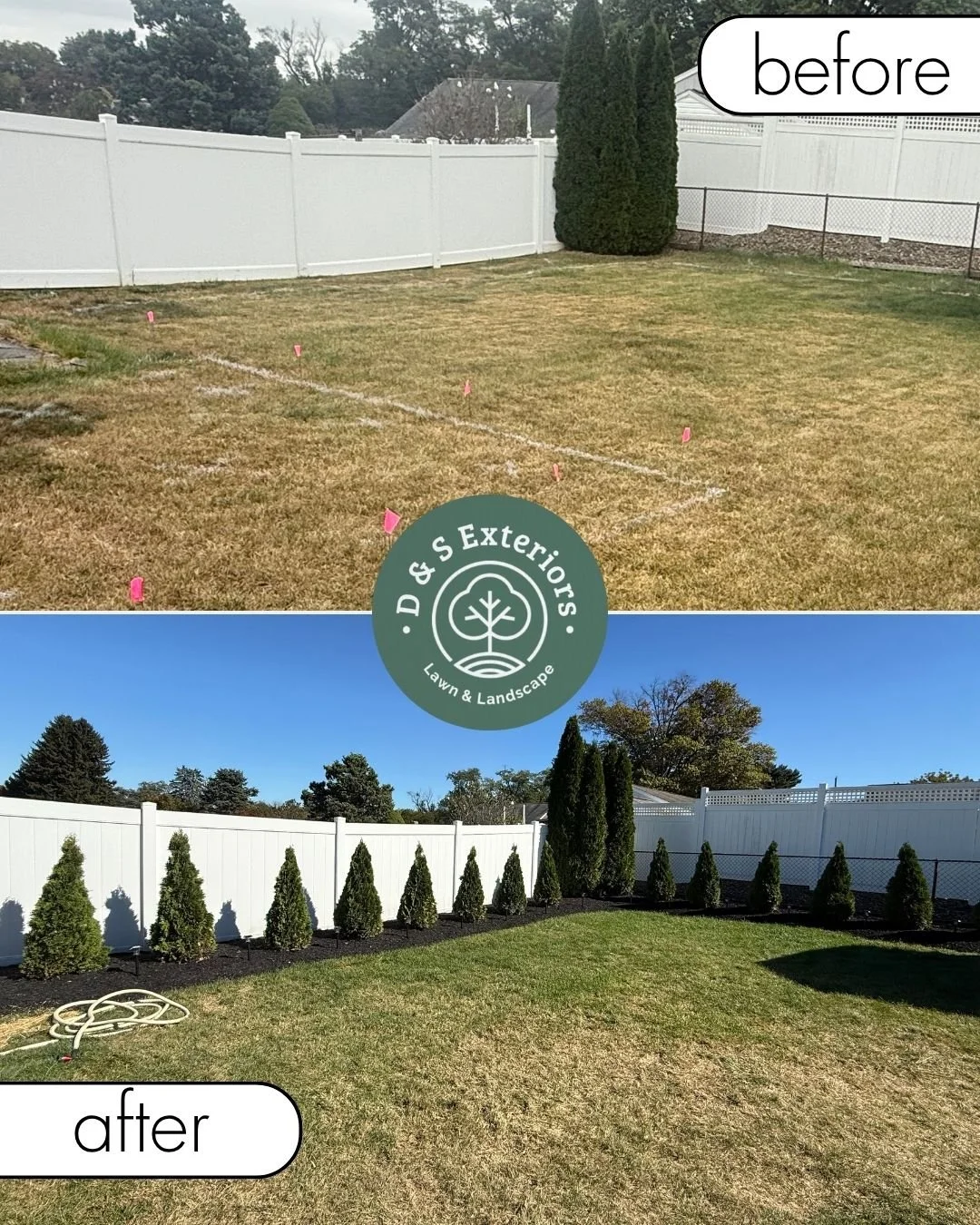 Comparison of a backyard lawn before and after landscaping. The before image shows a patchy, discolored lawn with sparse grass and small pink flags marking spots. The after image displays a well-maintained lawn with lush green grass, along with a row