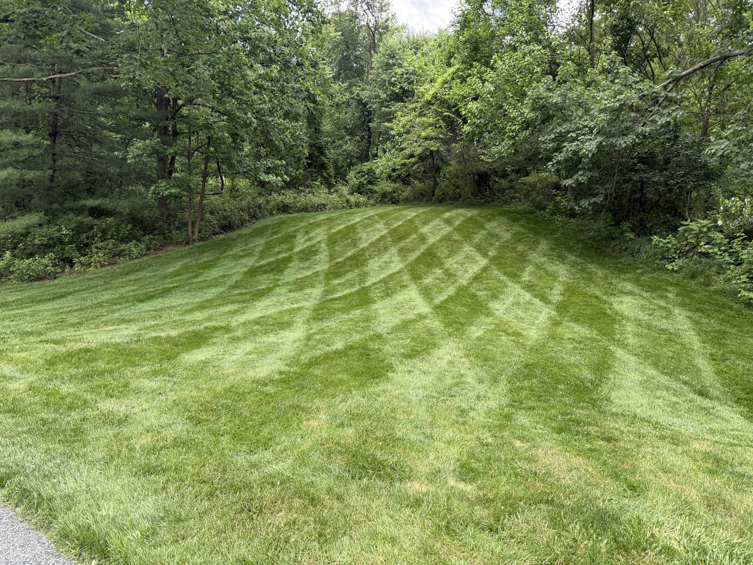 Freshly mowed, striped green grassy lawn with trees and bushes surrounding it.