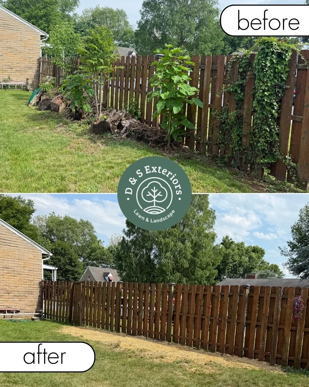 Comparison of a backyard fence area before and after cleaning and landscaping. The 'before' shows overgrown plants and a rough ground, while the 'after' depicts a clean, newly stained fence with well-maintained grass.