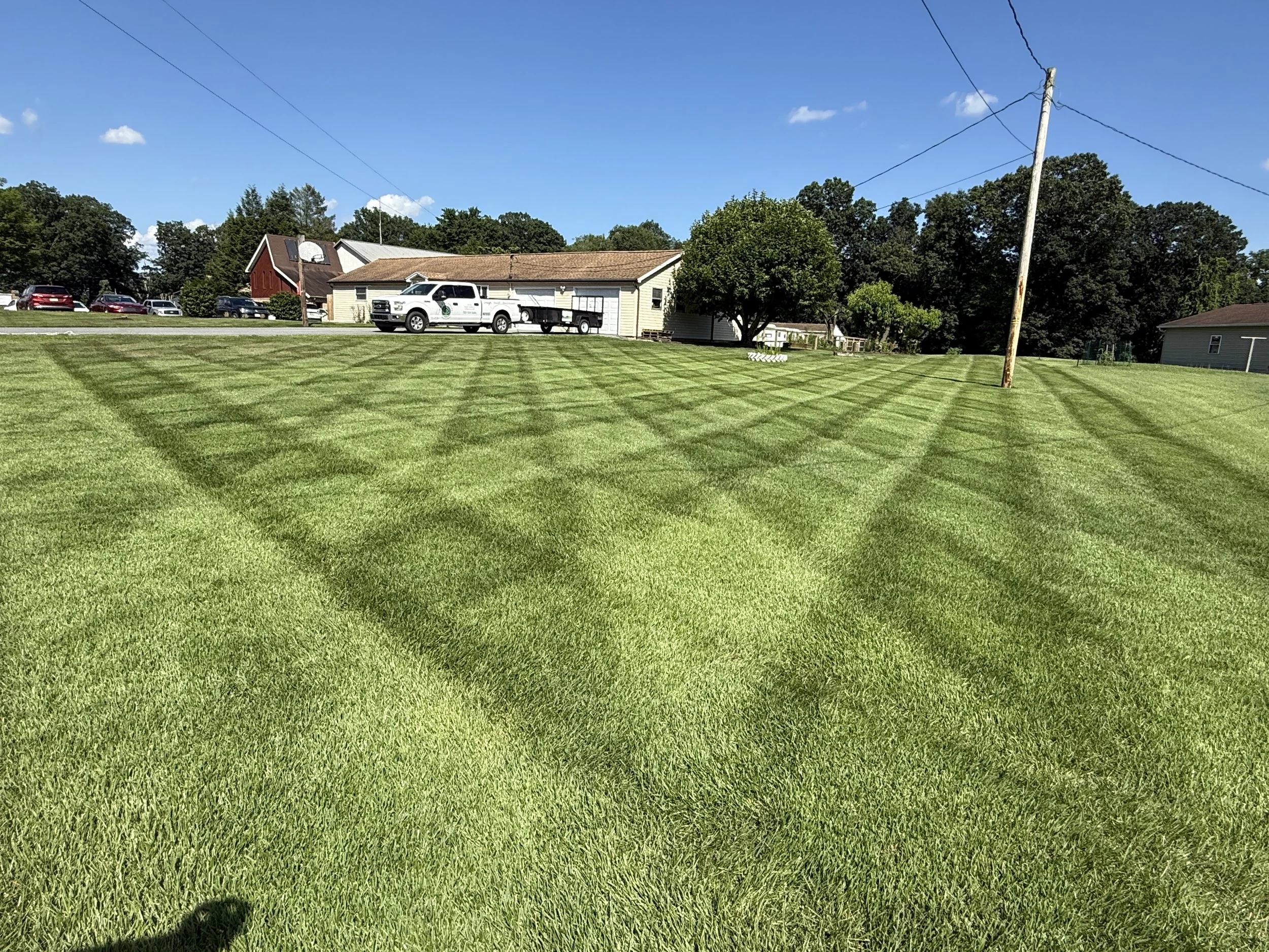 A freshly mowed grassy lawn with a checkered pattern, surrounded by houses and trees under a blue sky with a few clouds.