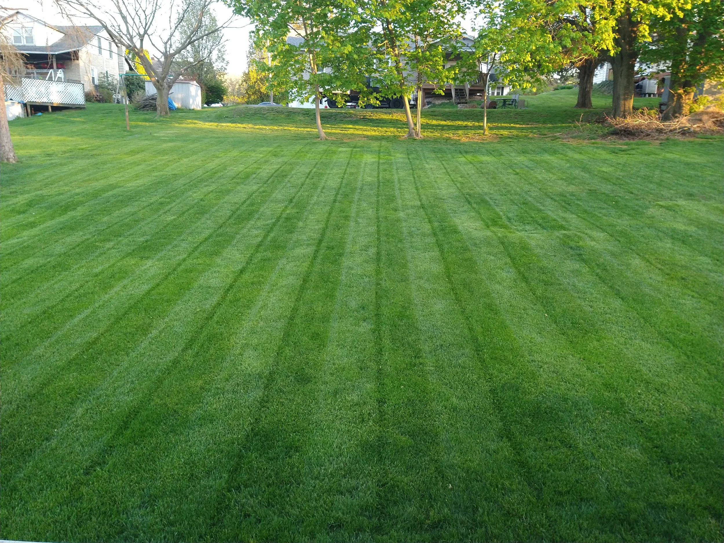 Green lawn with striped grass pattern, several trees with green leaves, houses, and cars in the background, and a clear sky.
