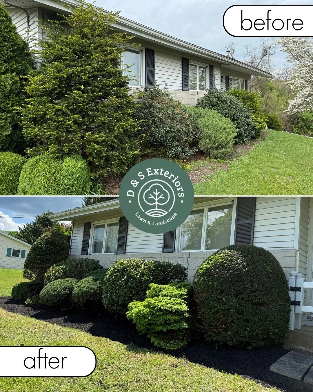 Comparison of house landscaping before and after gardening; the "before" shows overgrown bushes, the "after" shows neatly trimmed bushes with fresh mulch.