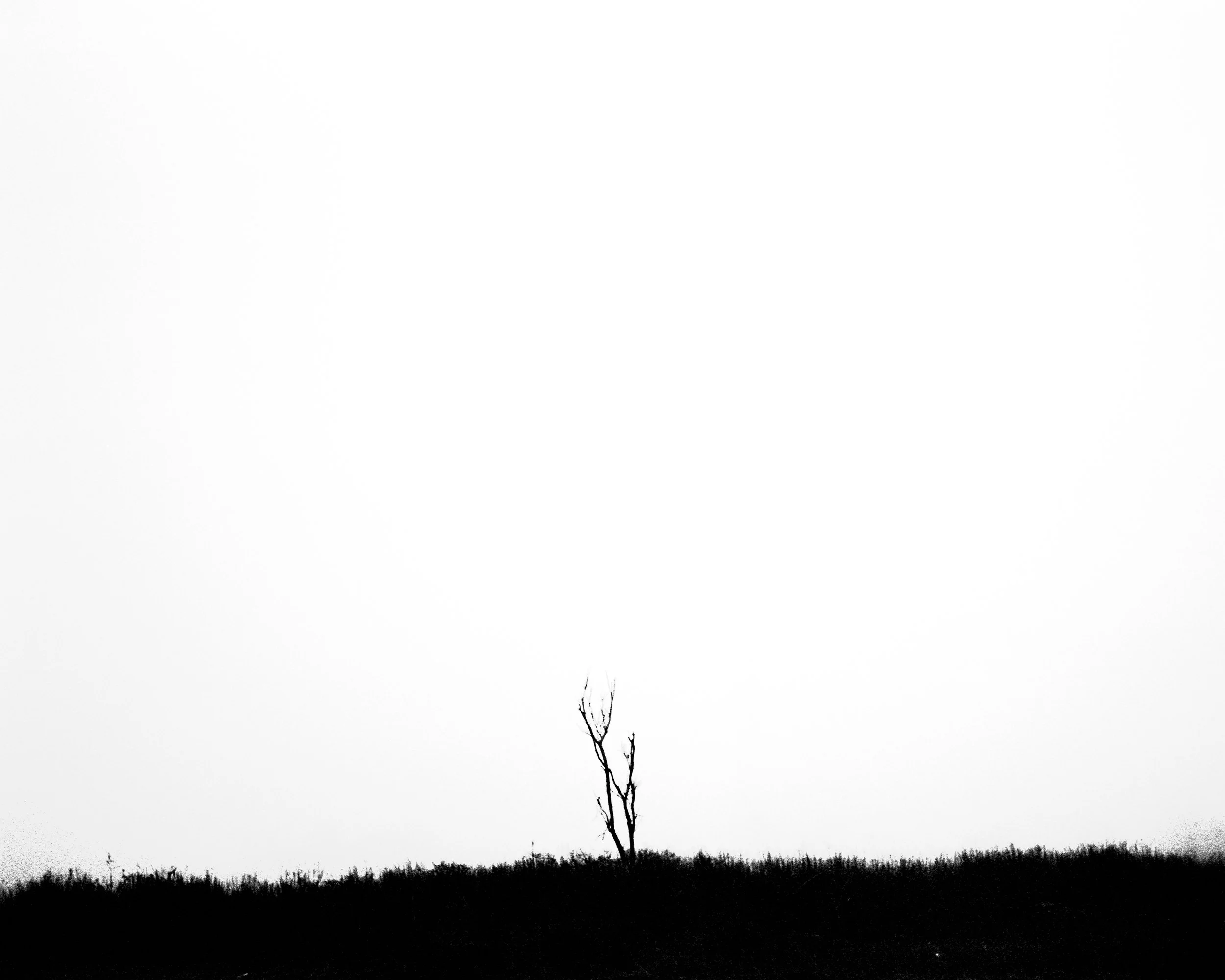 img (2) (4).jpg