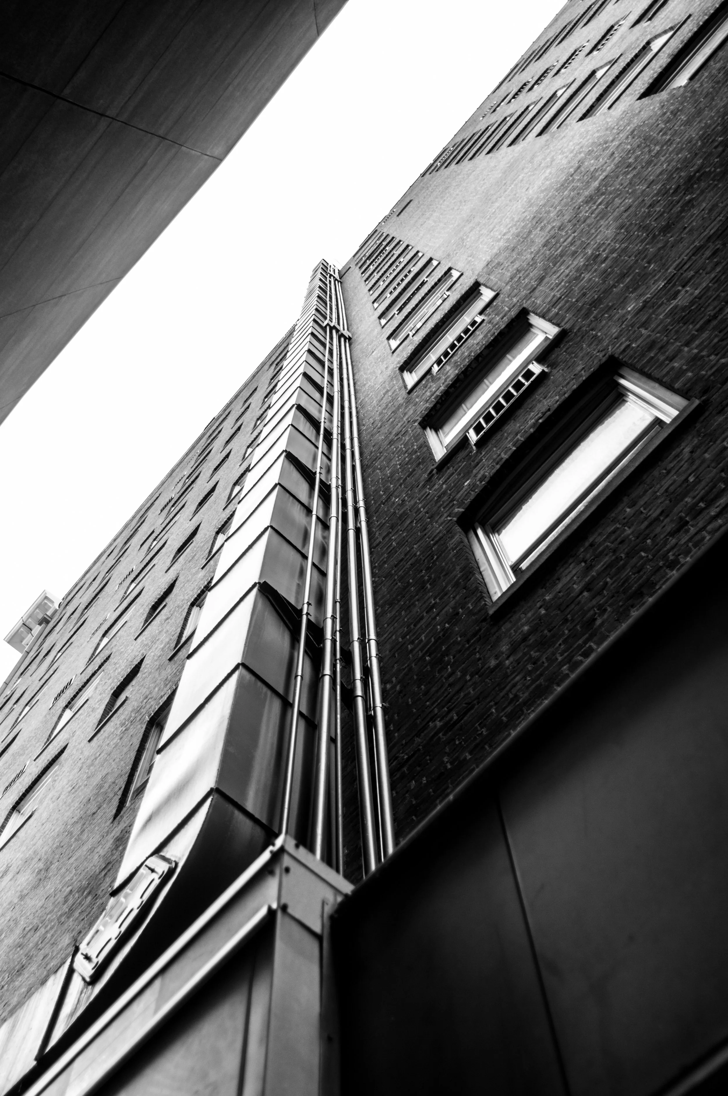 DSC_5506.jpg