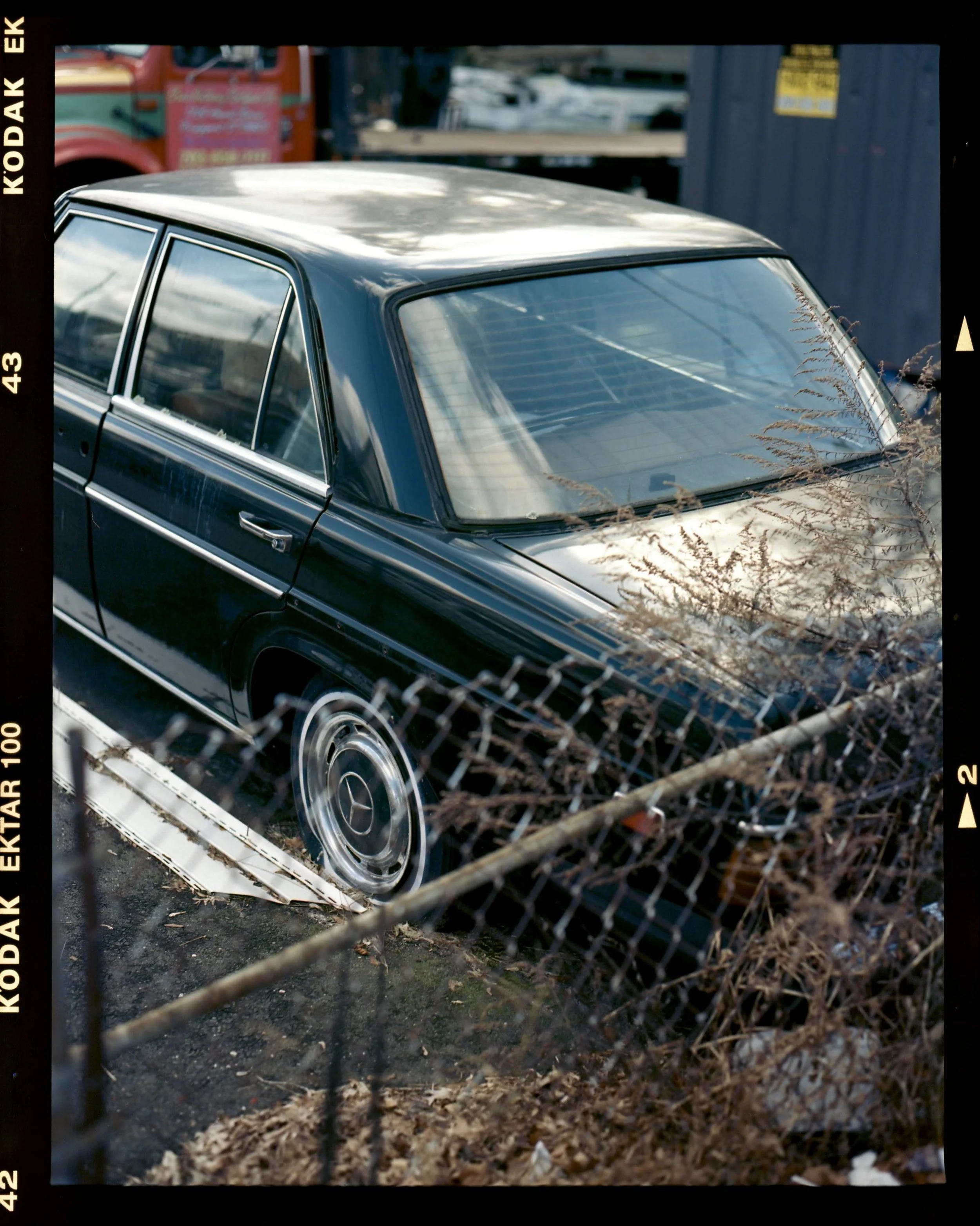 A black vintage Mercedes-Benz parked behind a rusty chain-link fence with dried plants around it.