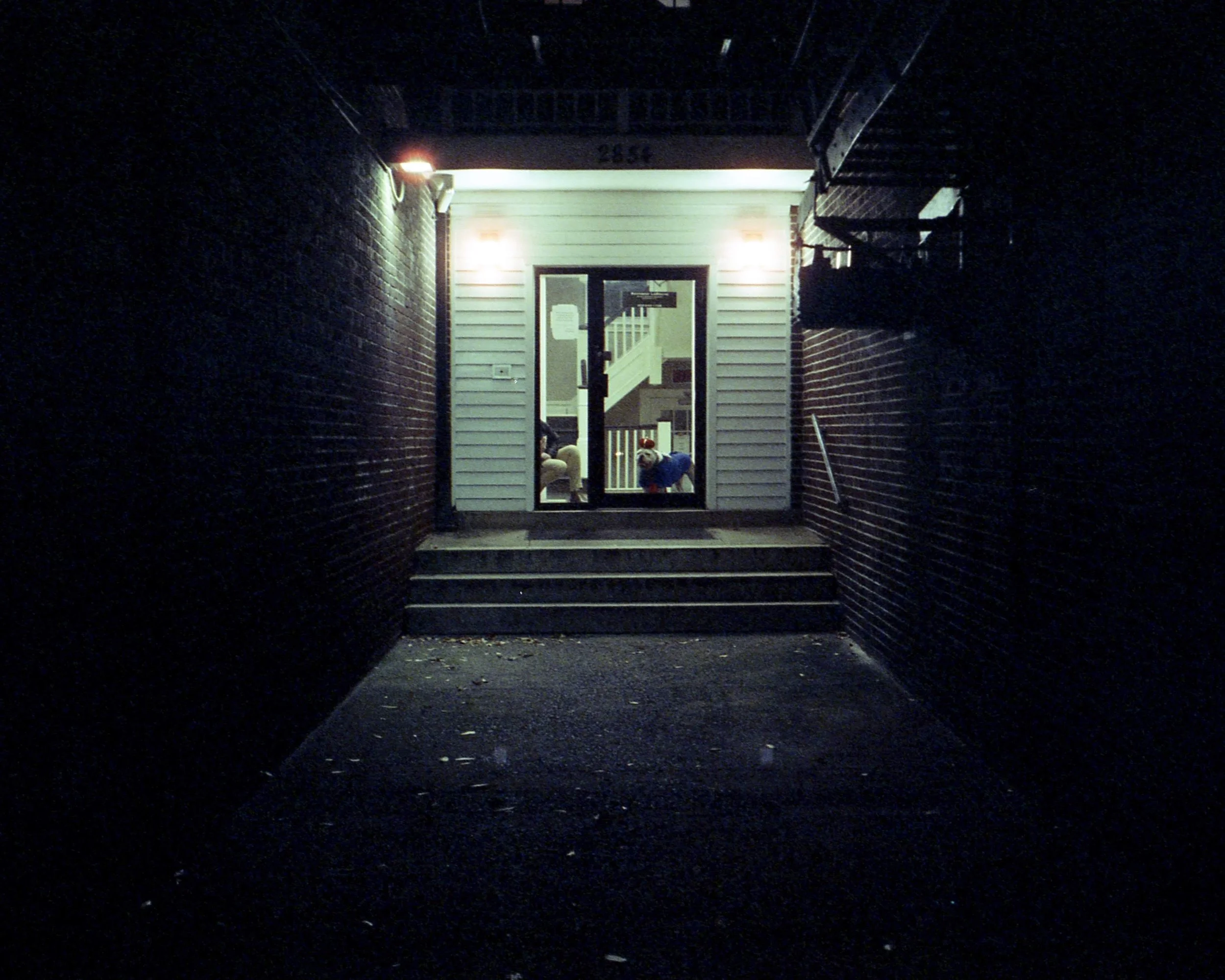 Nighttime view of an apartment entrance with steps leading up to a glass door, illuminated by exterior lights, with a small dog inside near the door.
