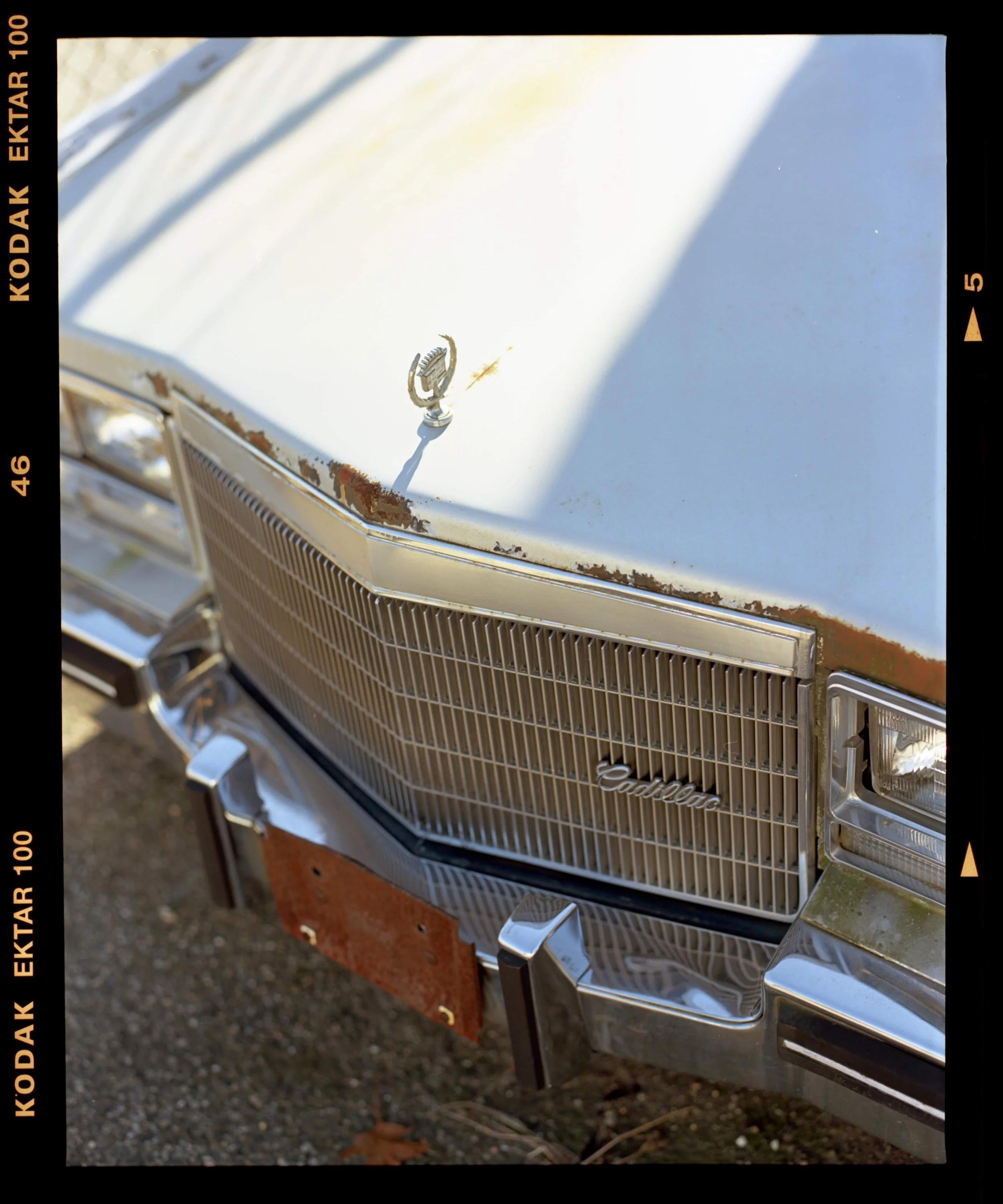 Close-up of the front grille and hood of a vintage Cadillac car with rust spots and a Cadillac emblem on the hood ornament.