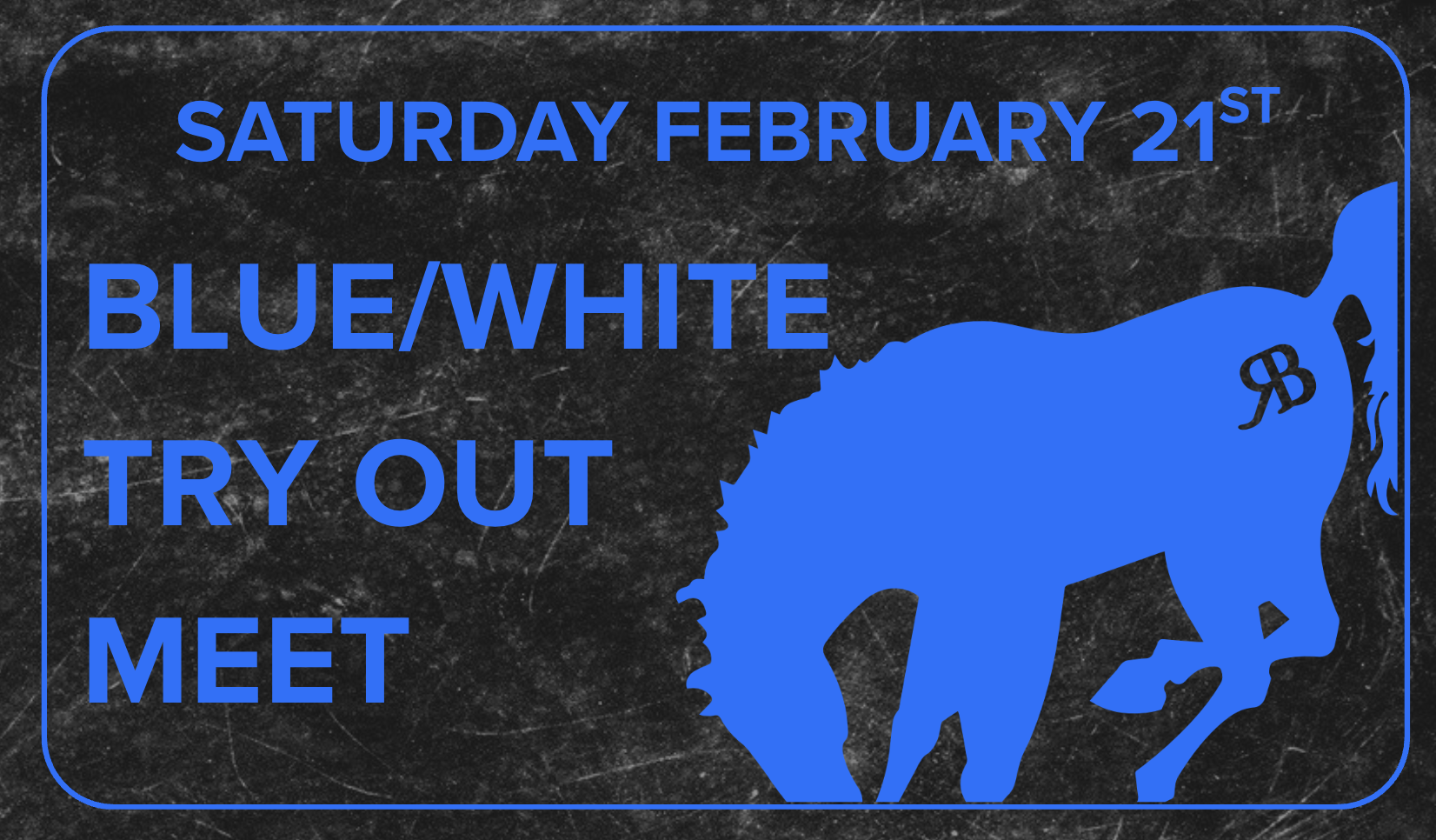 Blue/White Try Out Meet