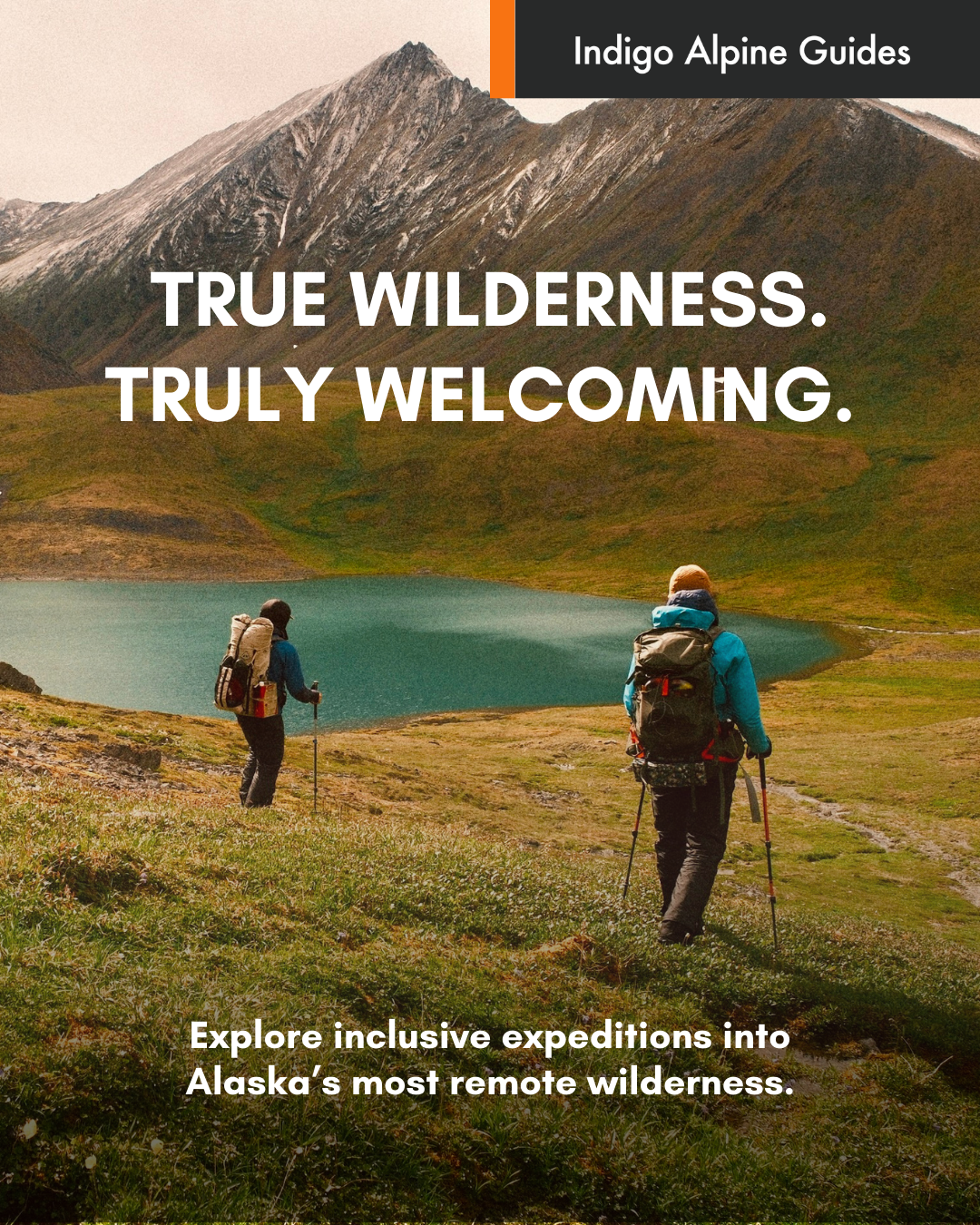 Two hikers with backpacks trekking through a green Alaskan wilderness with a mountain and a lake in the background.