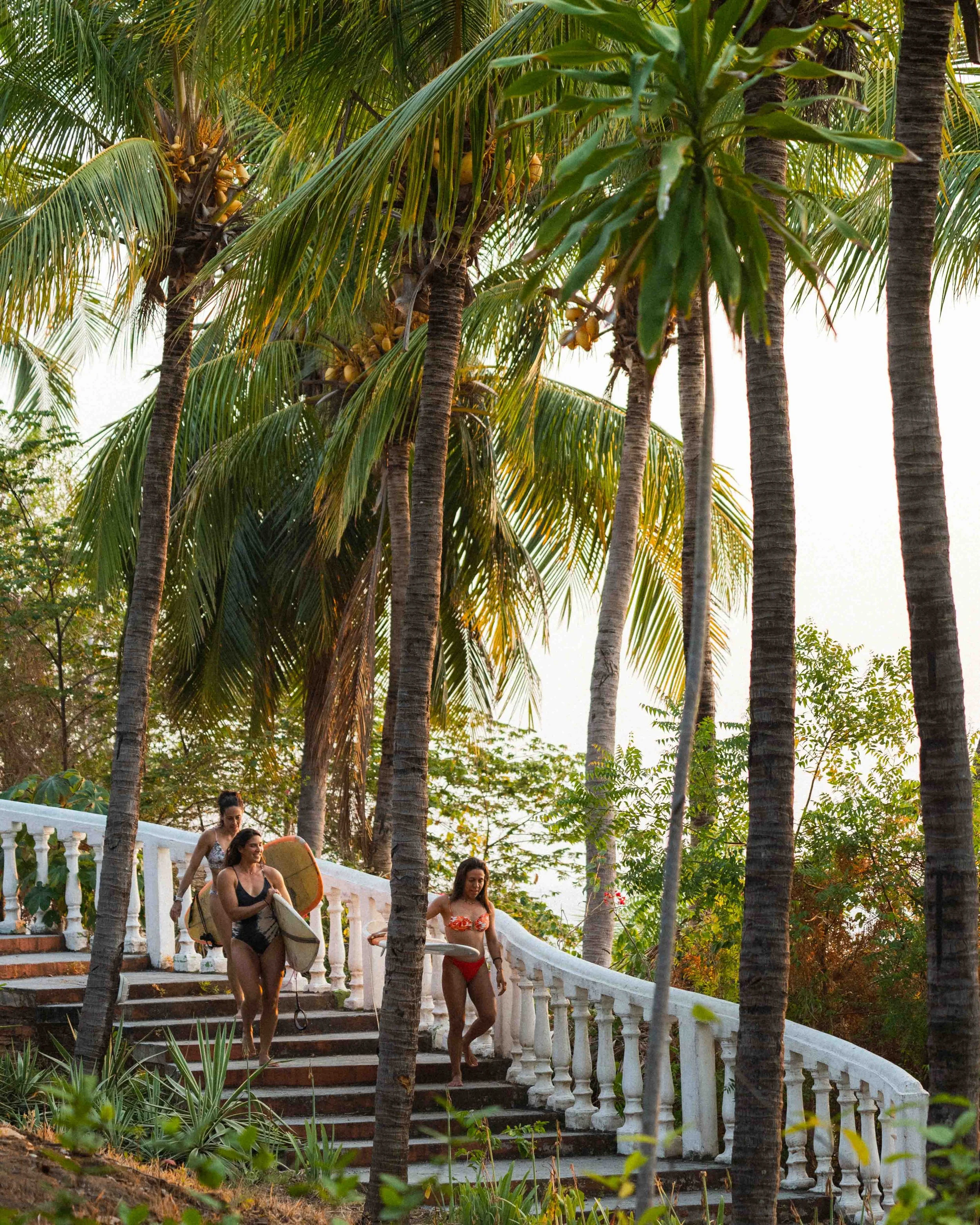 An image of Greenspacing.