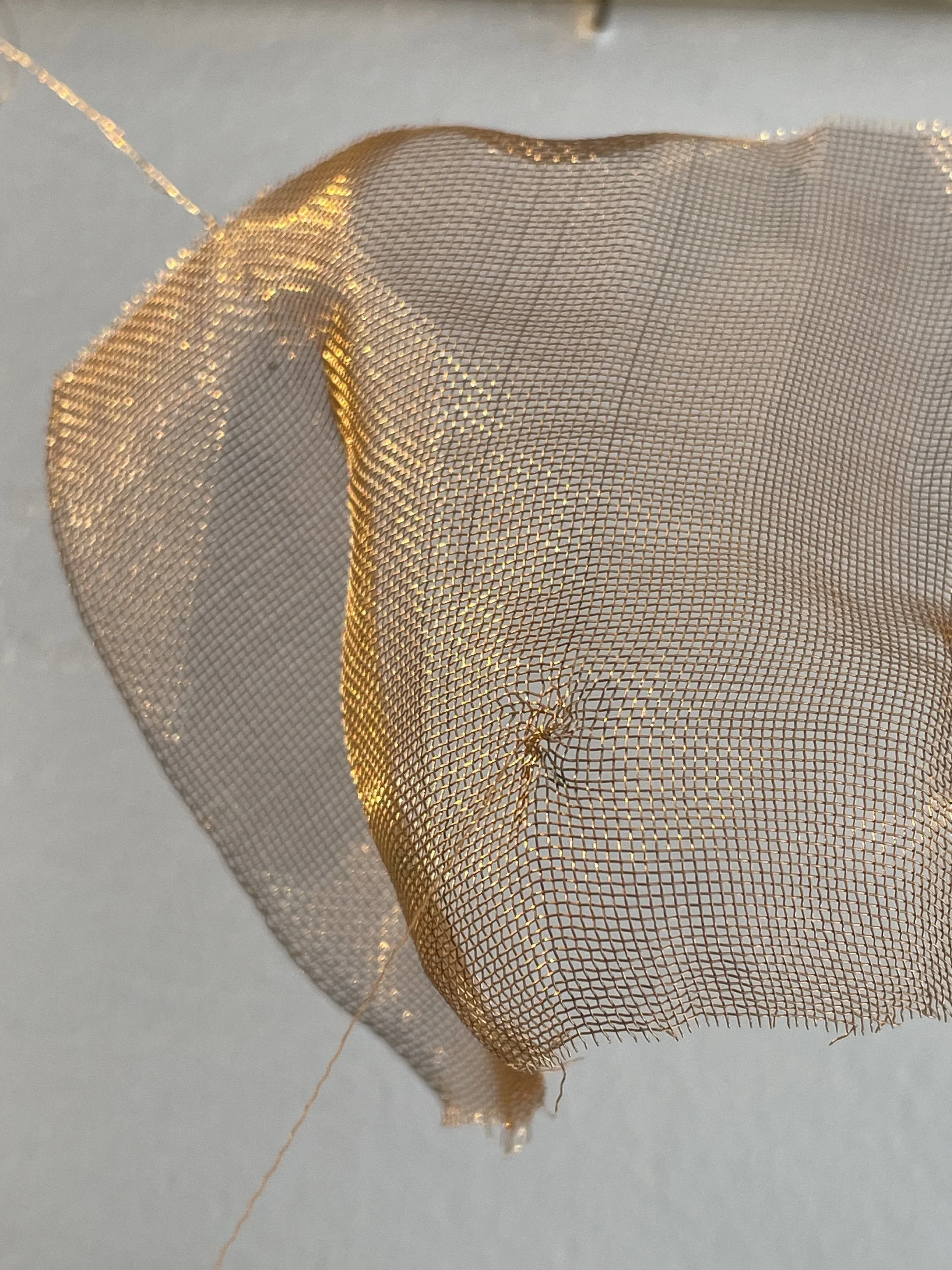 @2023-03-31 16.17.25.jpg