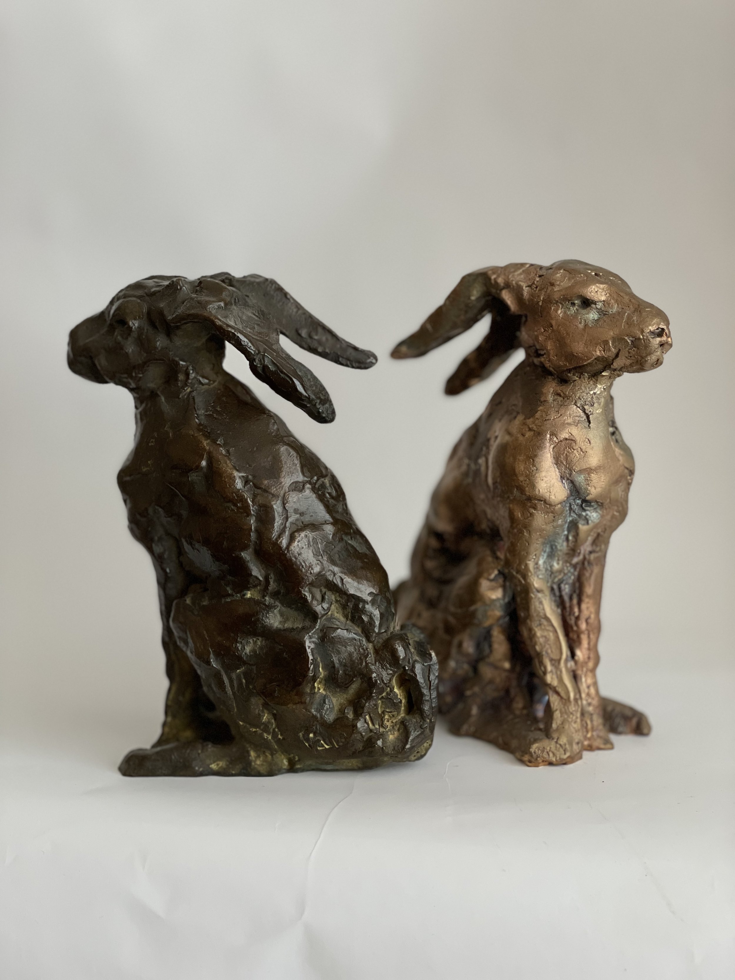 Lièvres pauline ohrel