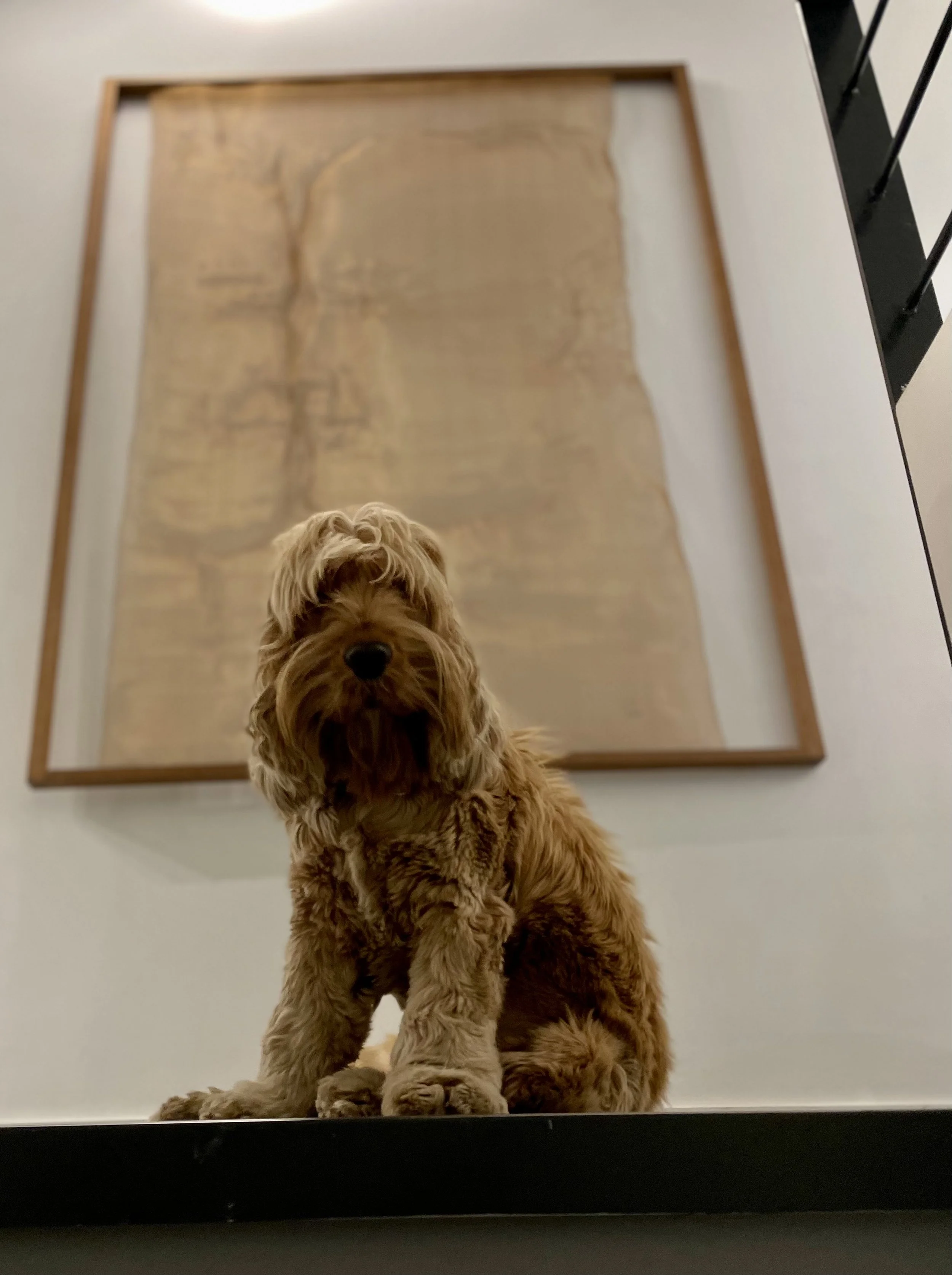 @2023-03-07 19.15.54.jpg