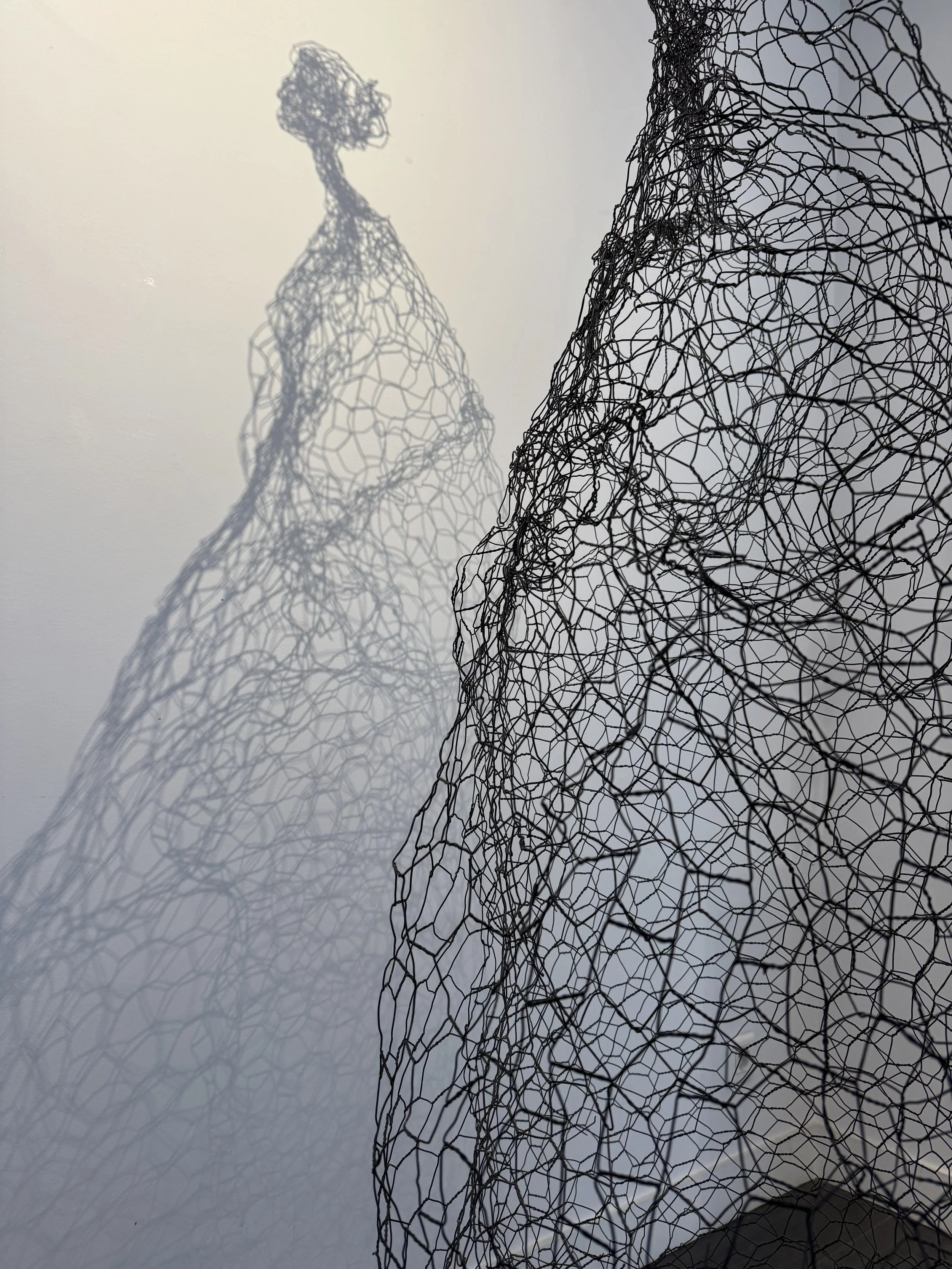 @2025-03-21 15.28.13.jpg