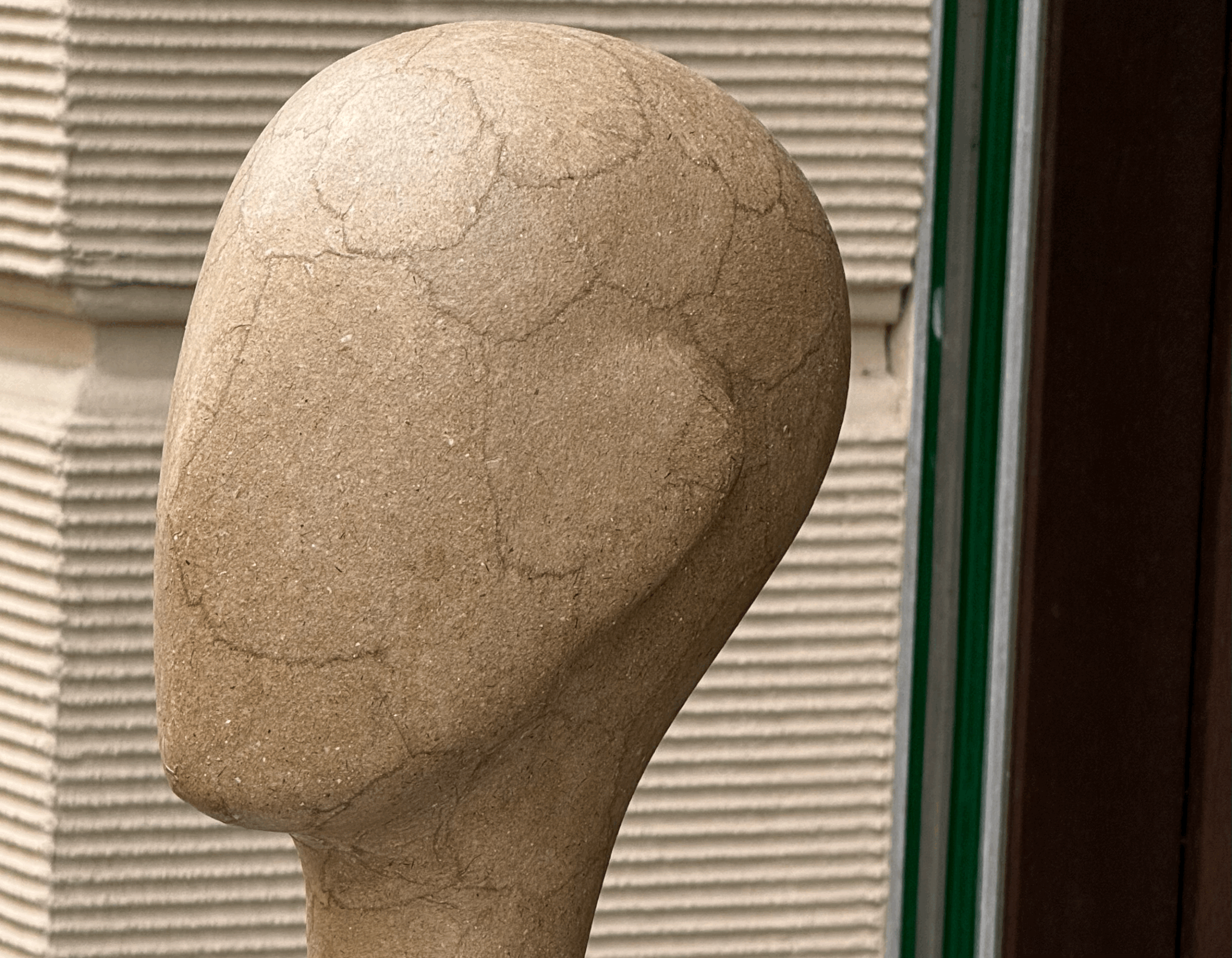 Torso