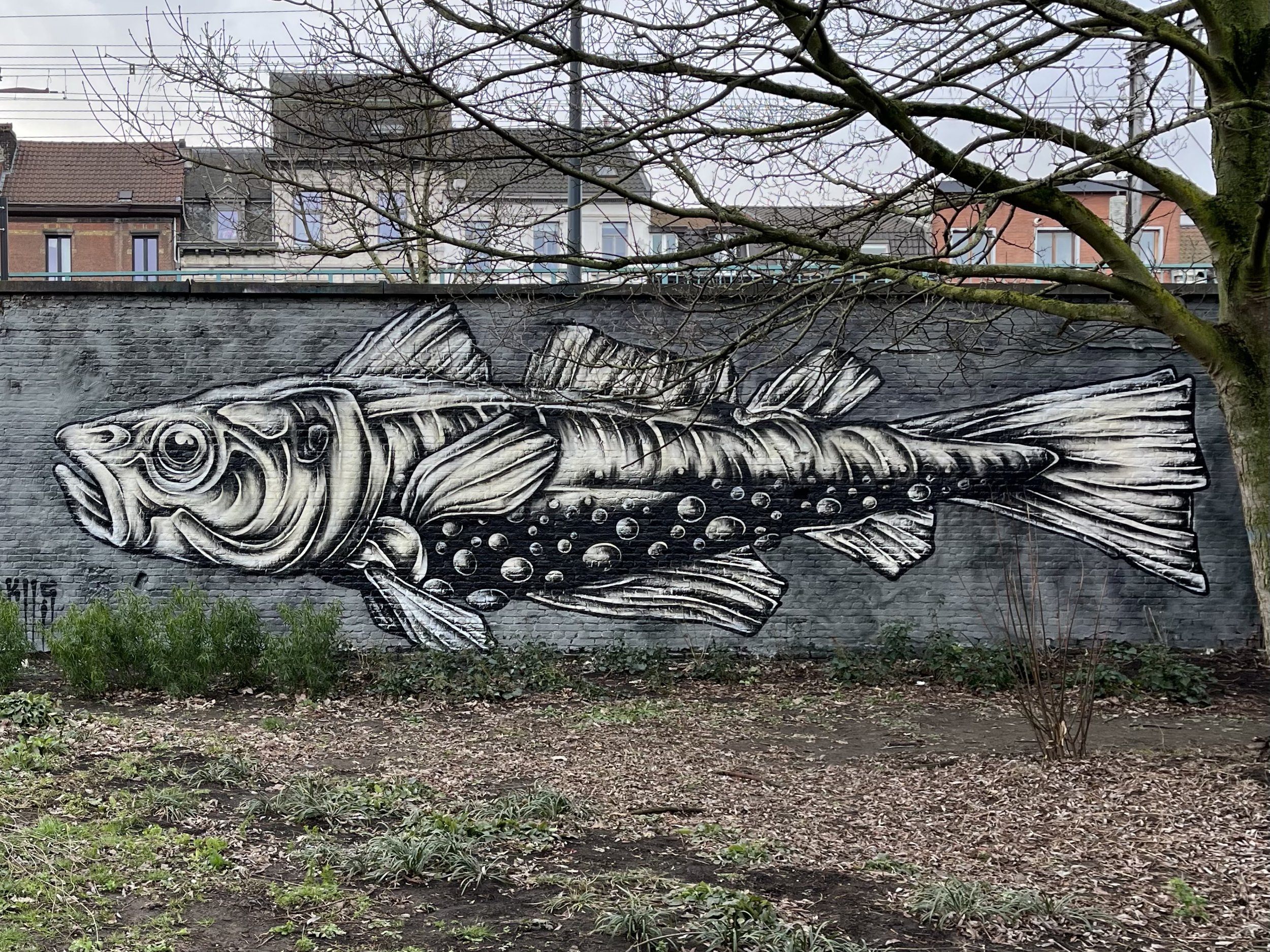 IMG_9549 bewerkt.jpg