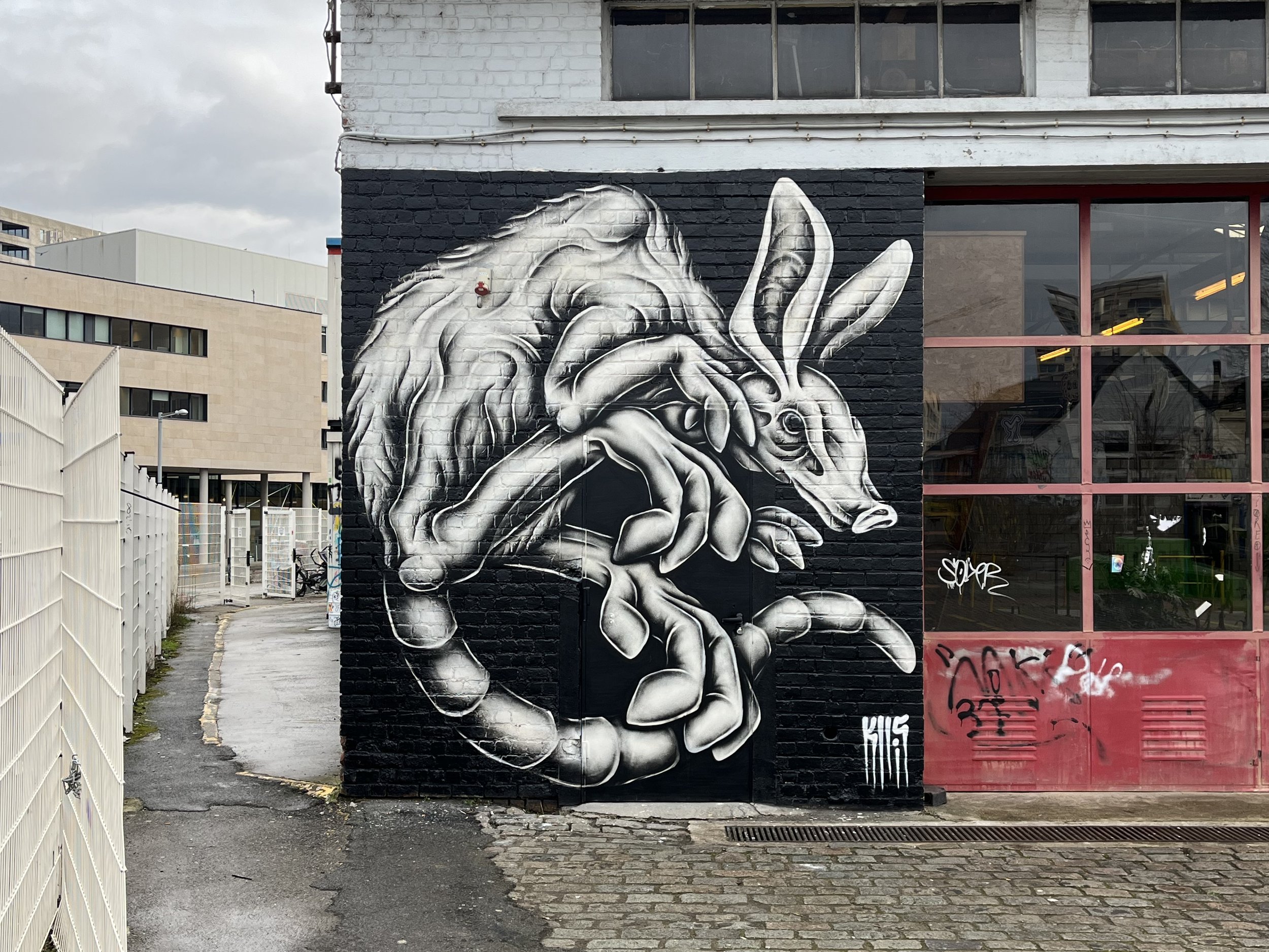 IMG_8822 bewerkt.jpg