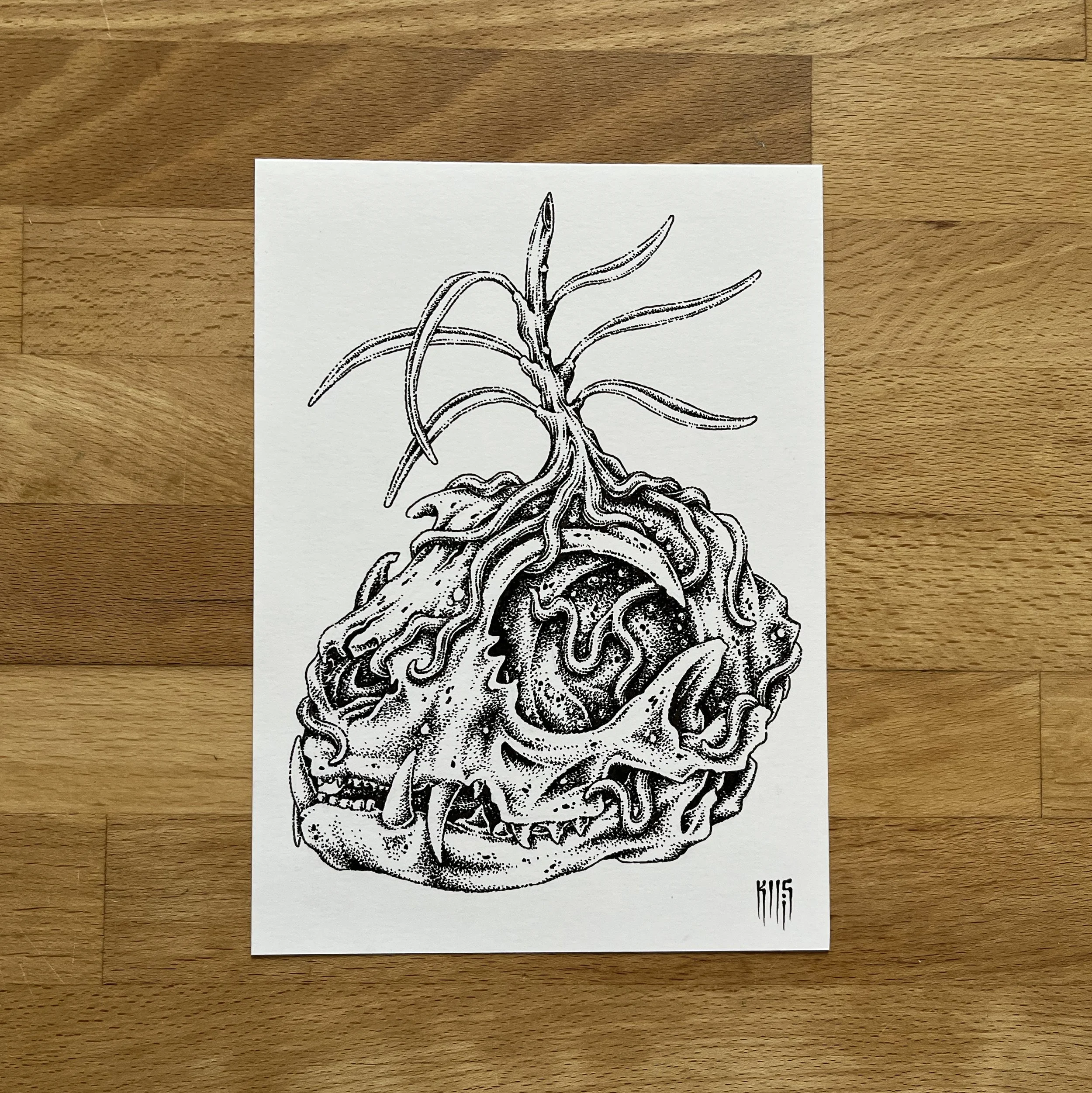 IMG_7766 bewerkt.jpg