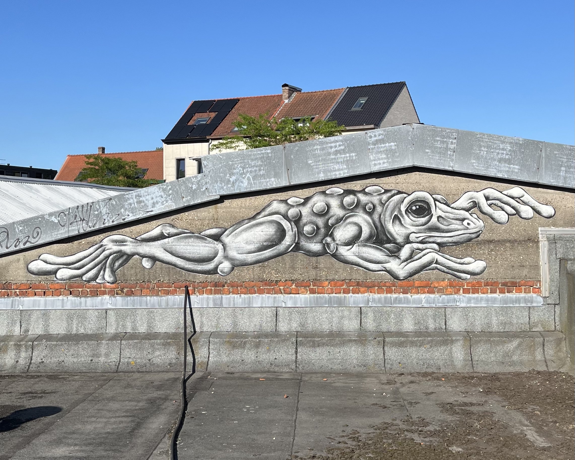 IMG_4011 bewerkt.jpg